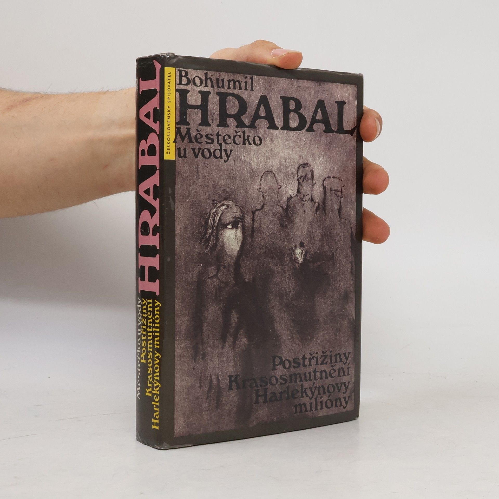 Bohumil Hrabal Městečko u vody