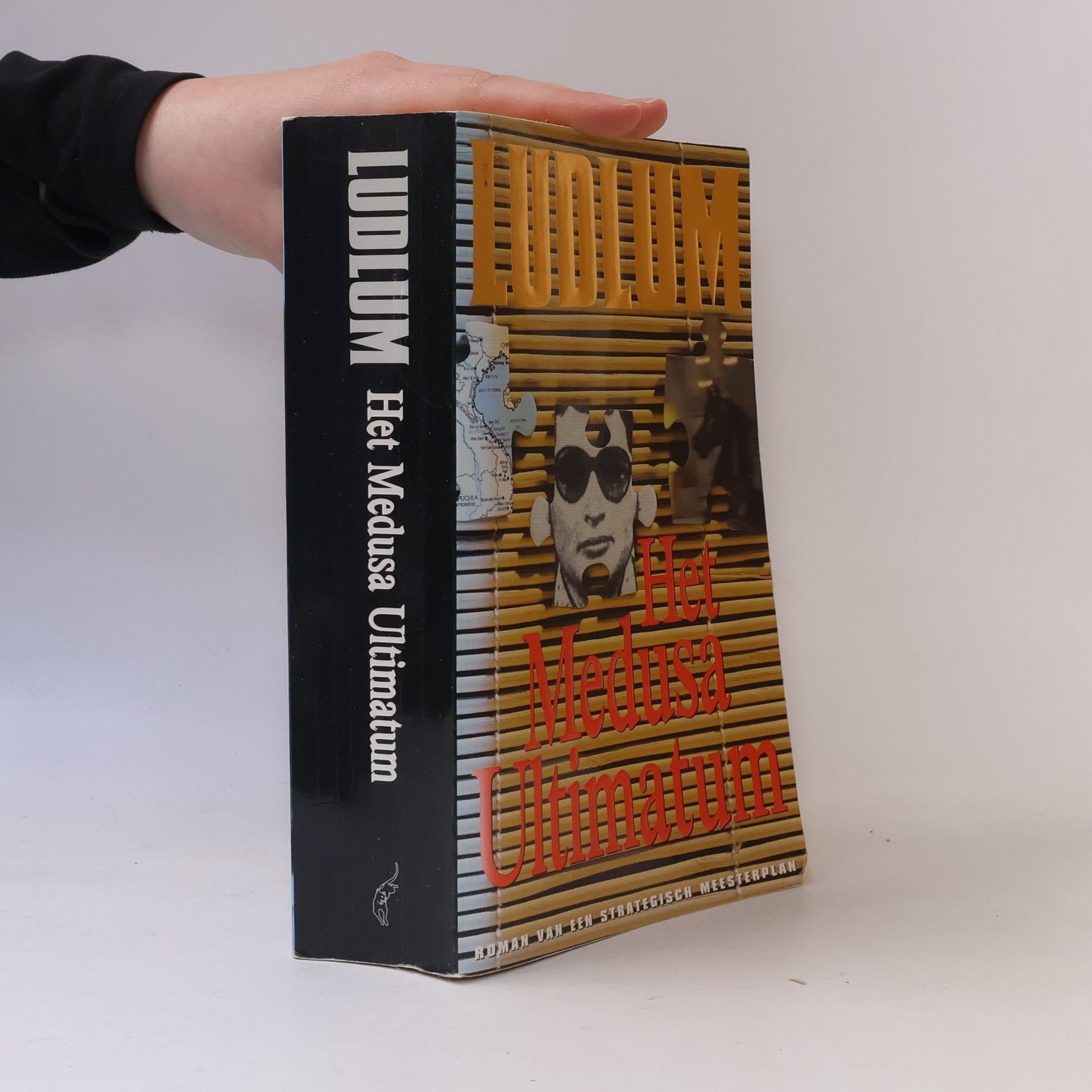 Robert Ludlum Het Medusa Ultimatum