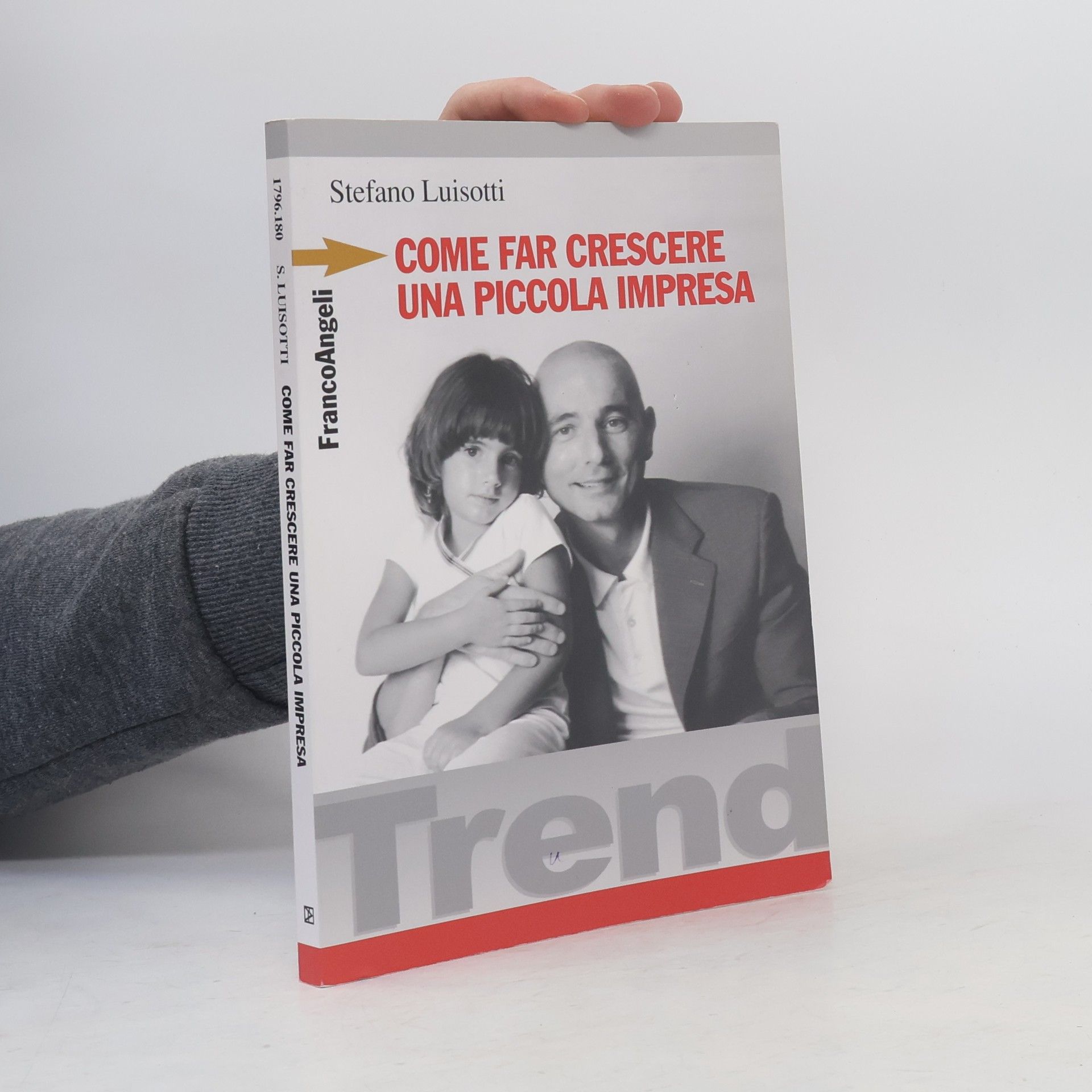 Stefano Luisotti Come far crescere una piccola impresa