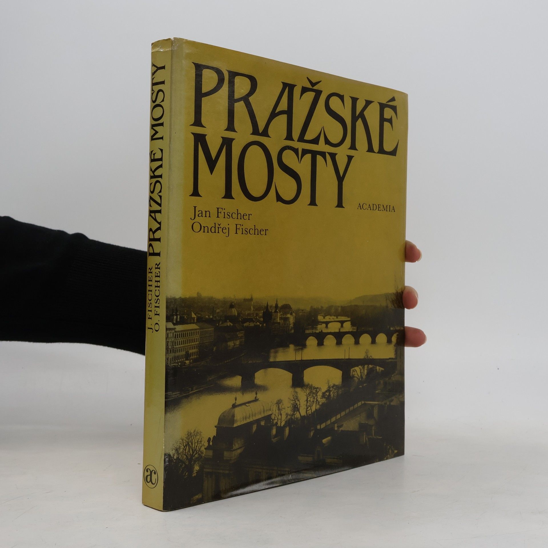 Jan Fischer Pražské mosty