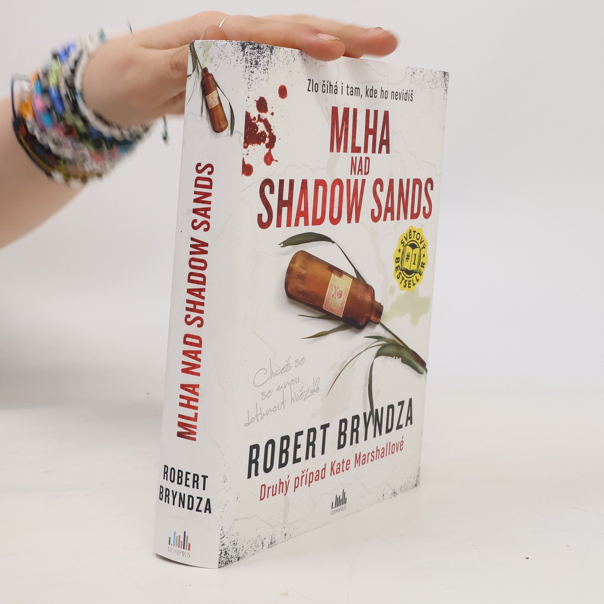 Robert Bryndza Mlha nad Shadow Sands
