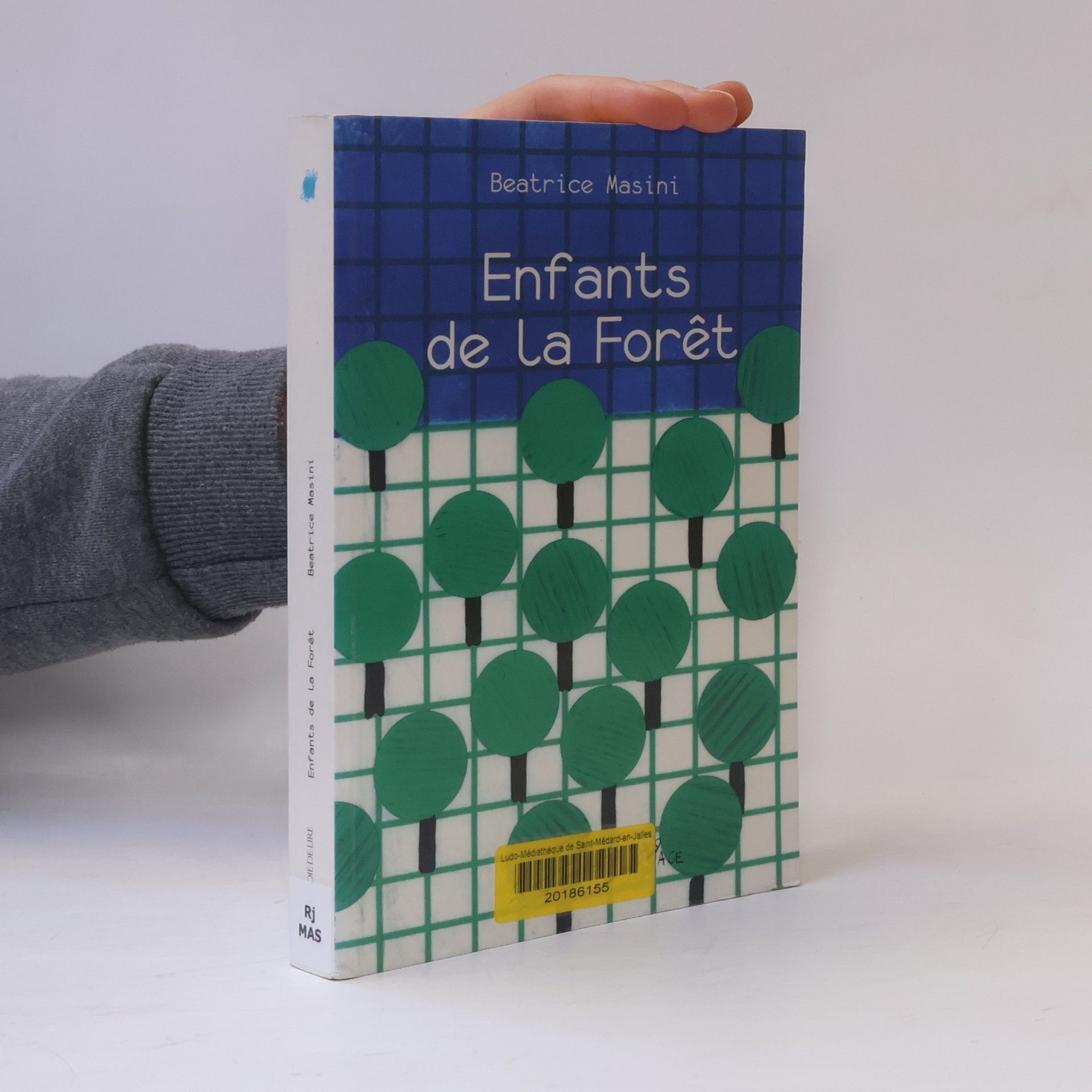 Beatrice Masini Enfants de la Forêt