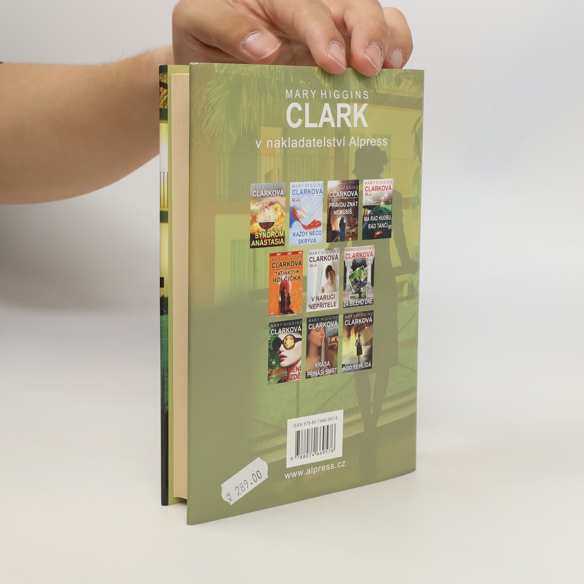 Mary Higgins Clark V podezření
