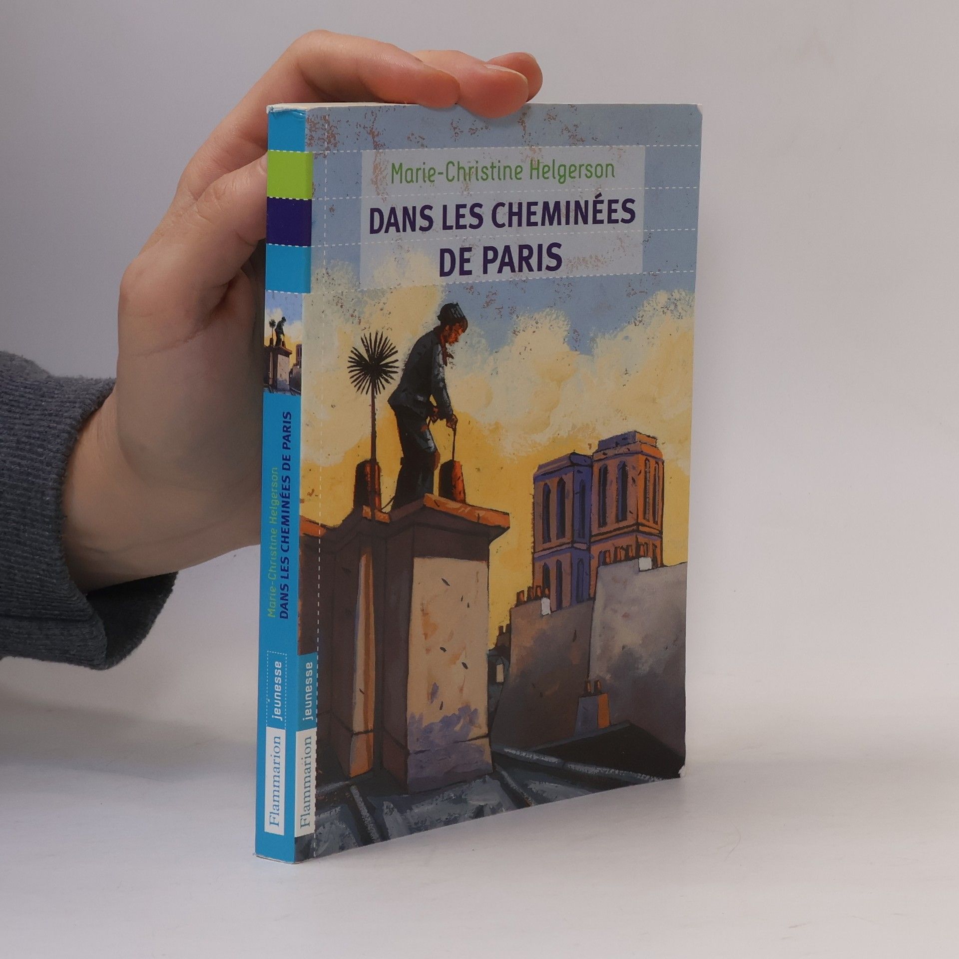 Marie-Christine Helgerson Dans les cheminées de Paris