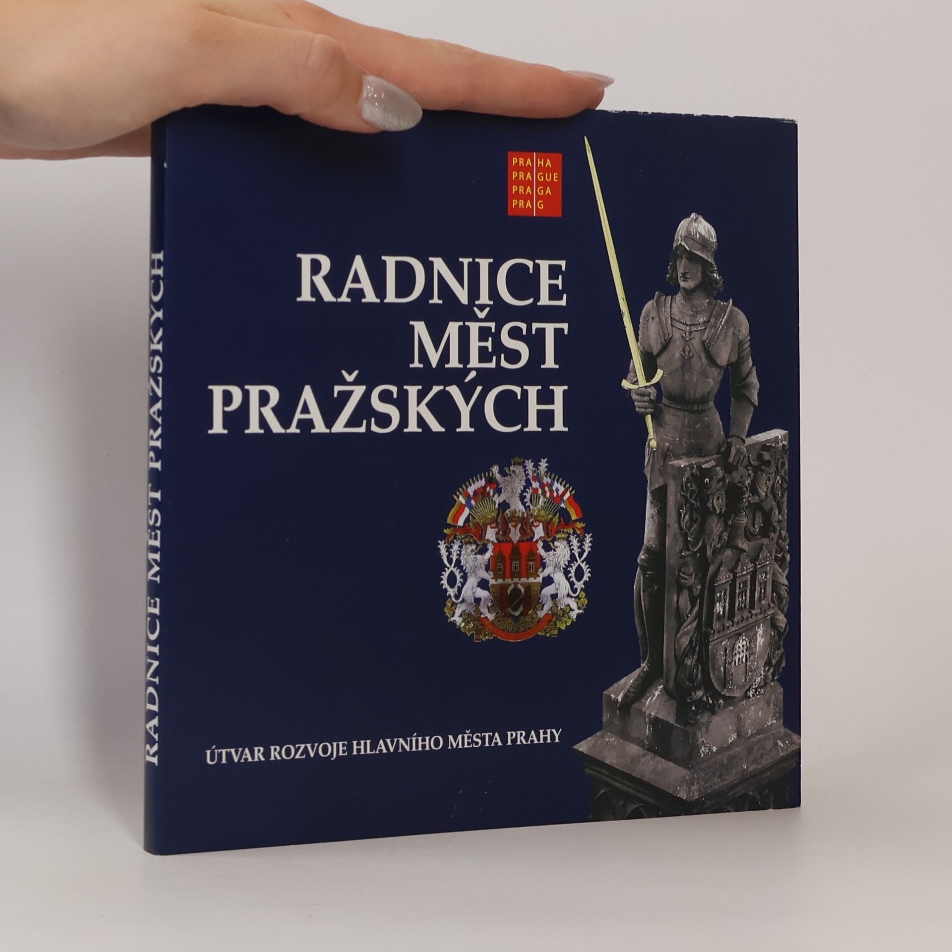 Kolektiv autorů Radnice měst pražských