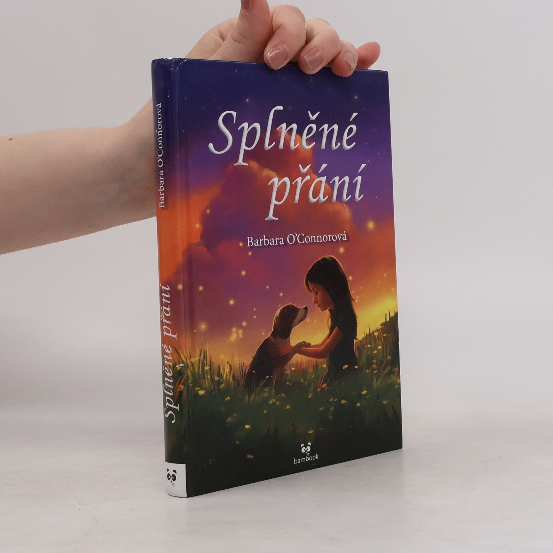 Barbara O'Connor Splněné přání