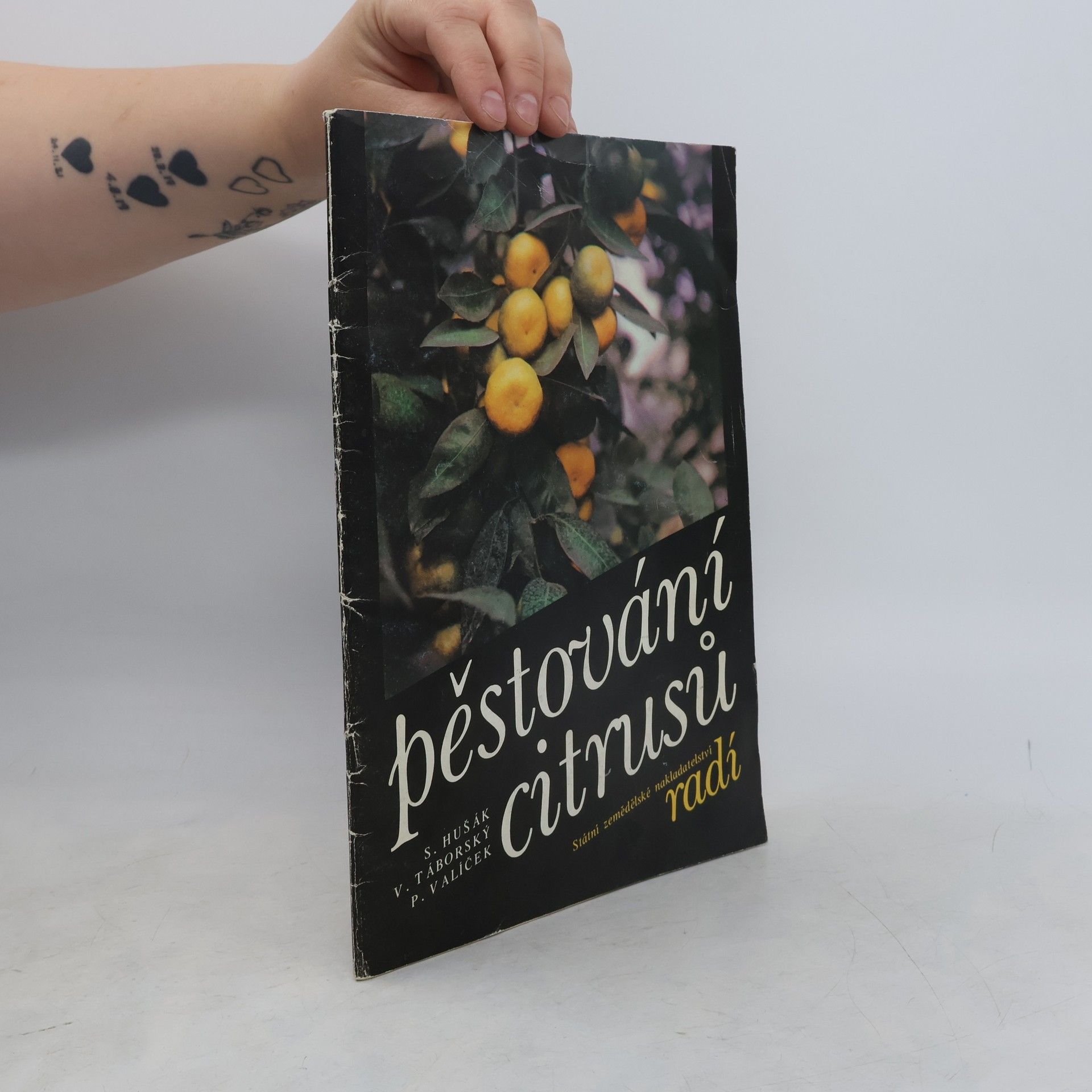 Stanislav Hušák Pěstování citrusů