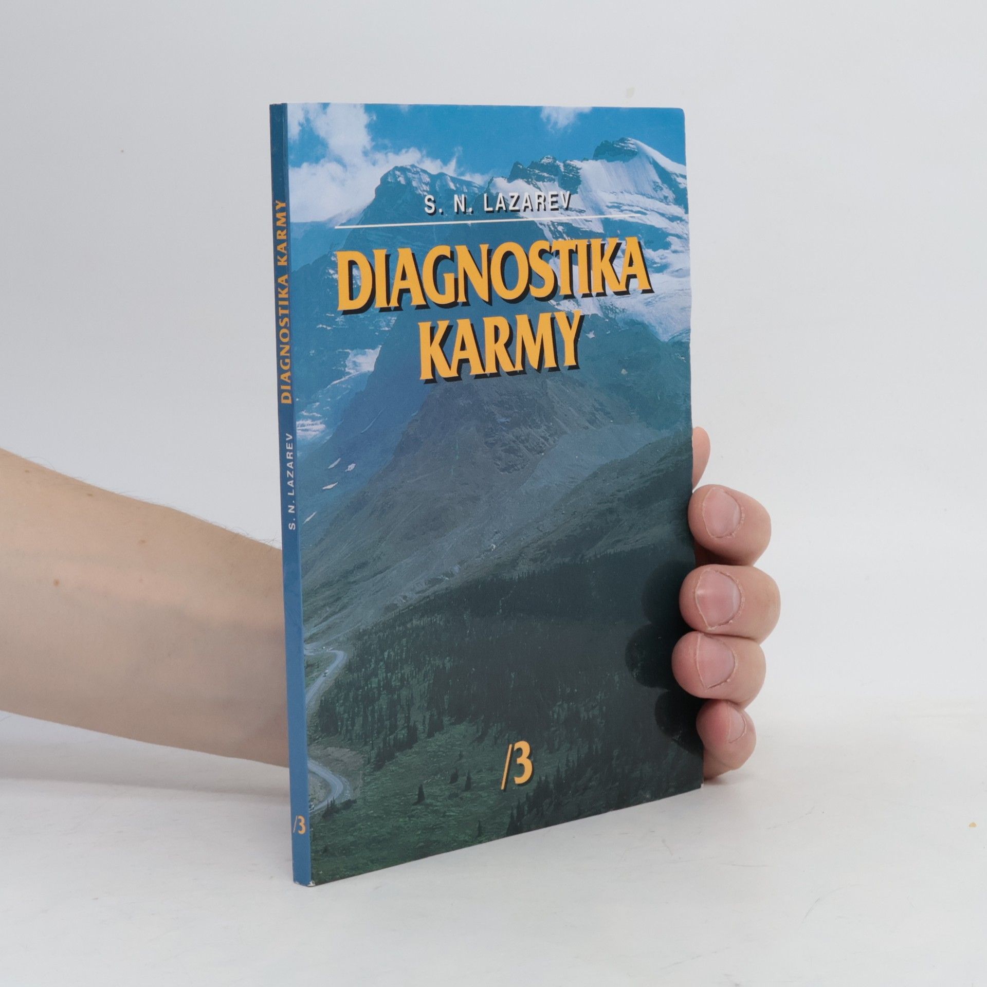 Diagnostika karmy 3
