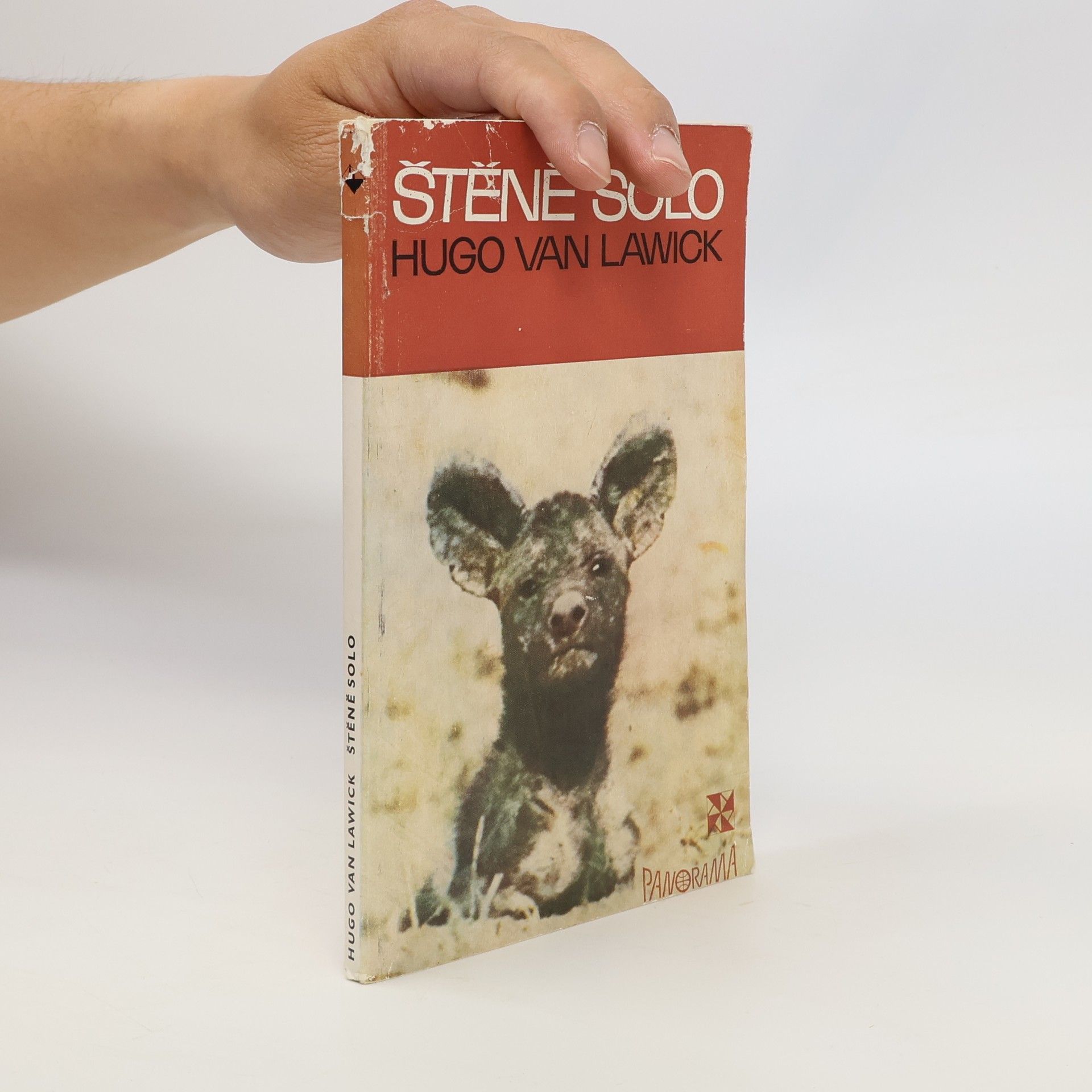 Hugo van Lawick Štěně Solo