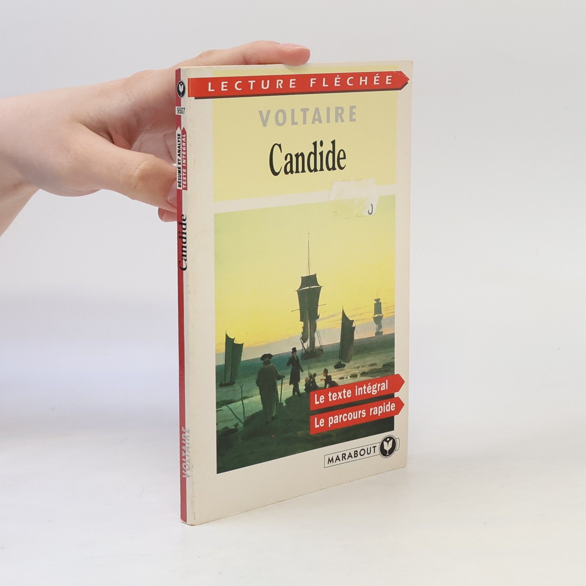 Voltaire Candide ou l'optimisme
