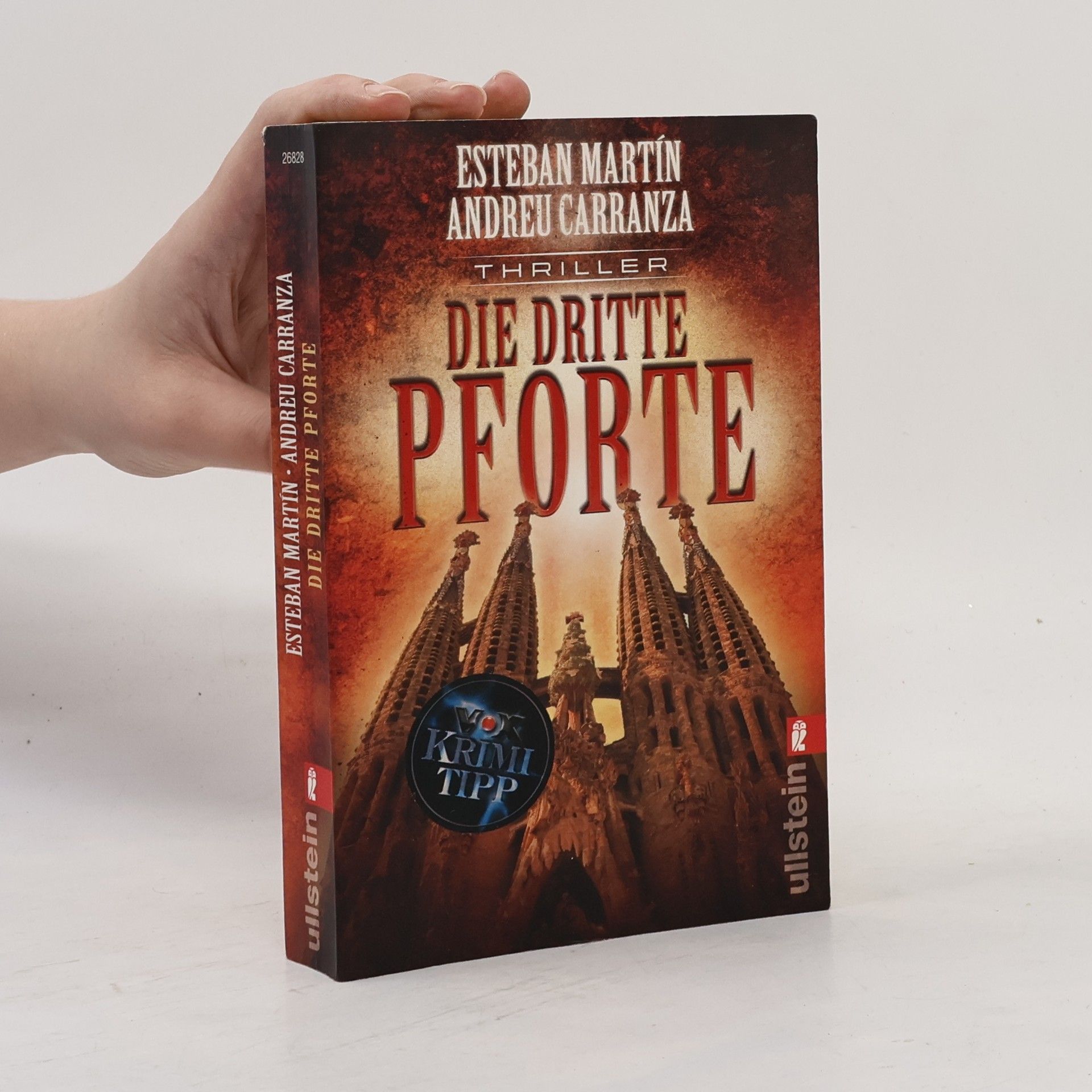 Esteban Martín Die dritte Pforte
