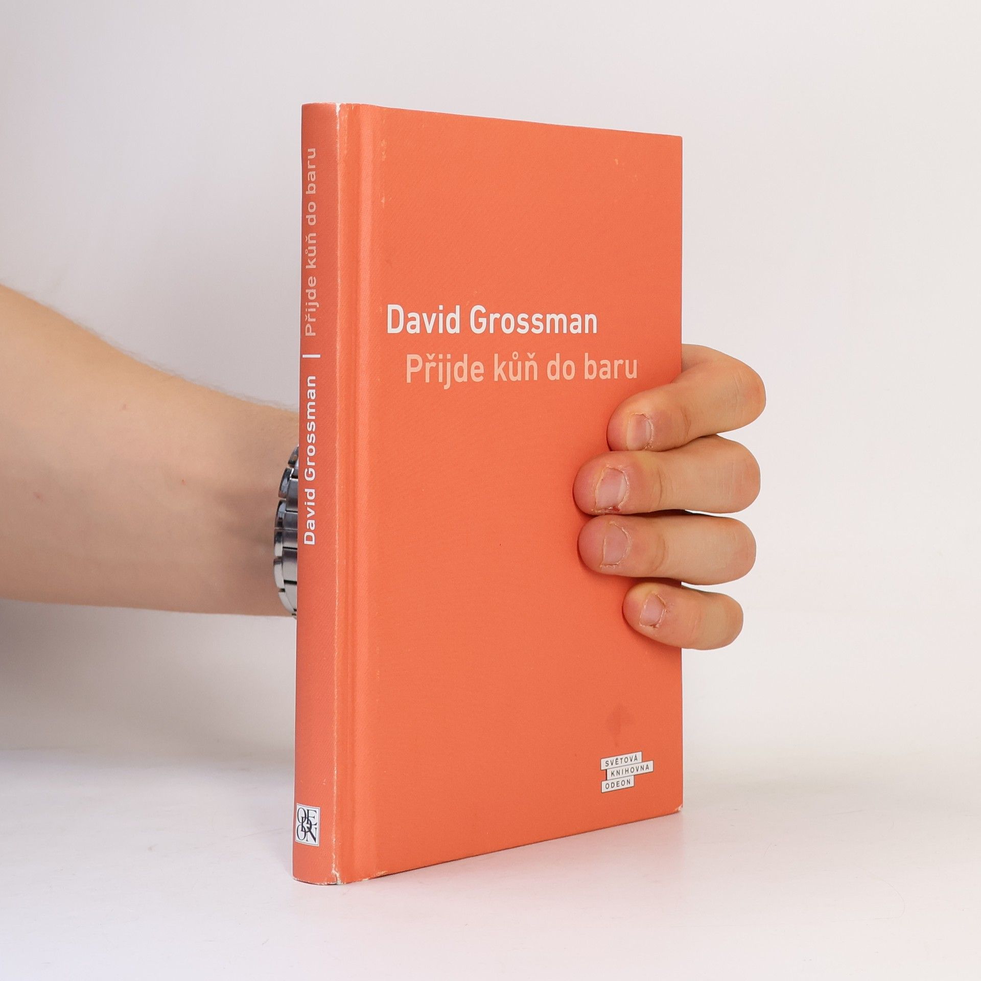 David Grossman Přijde kůň do baru