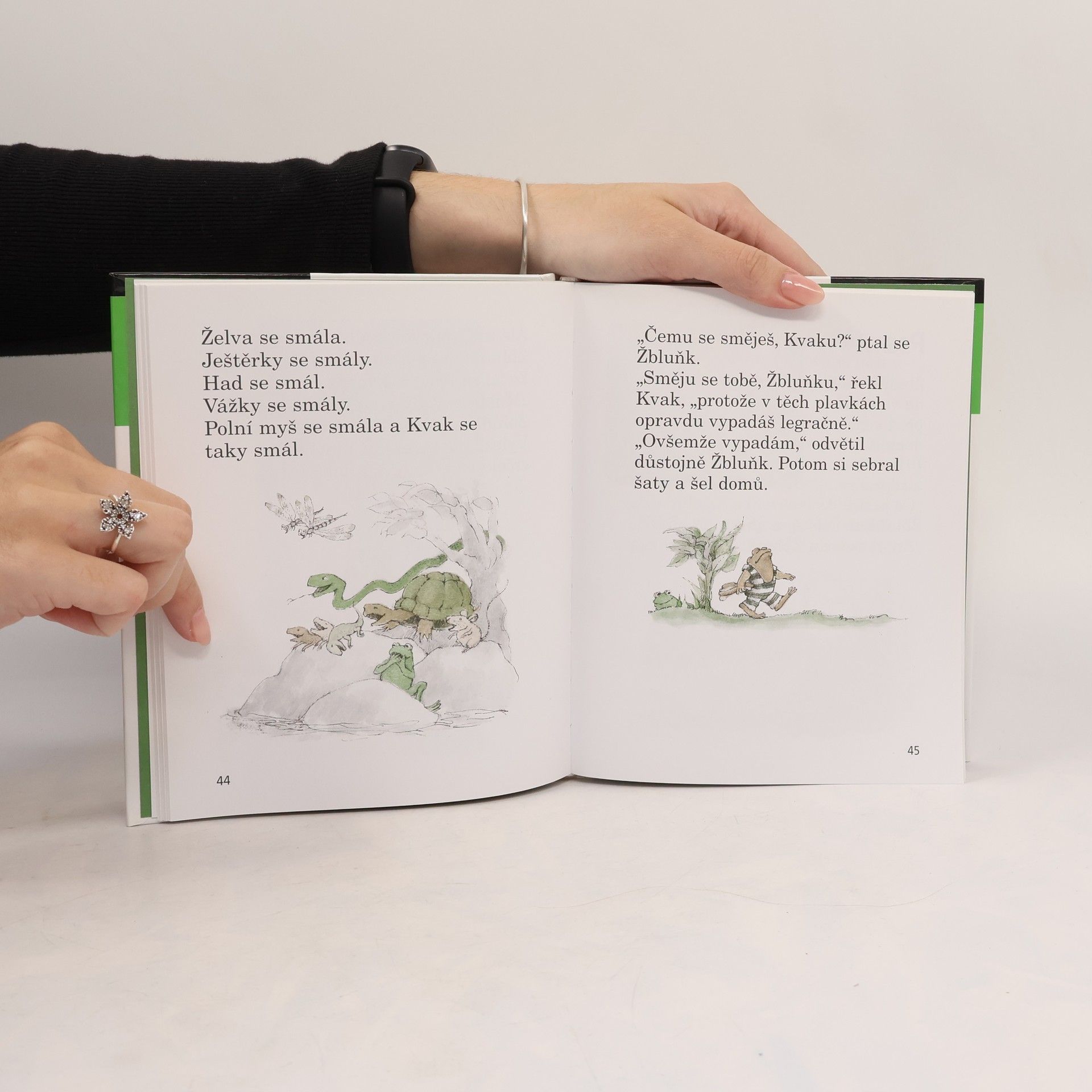 Arnold Lobel Kvak a Žbluňk jsou kamarádi