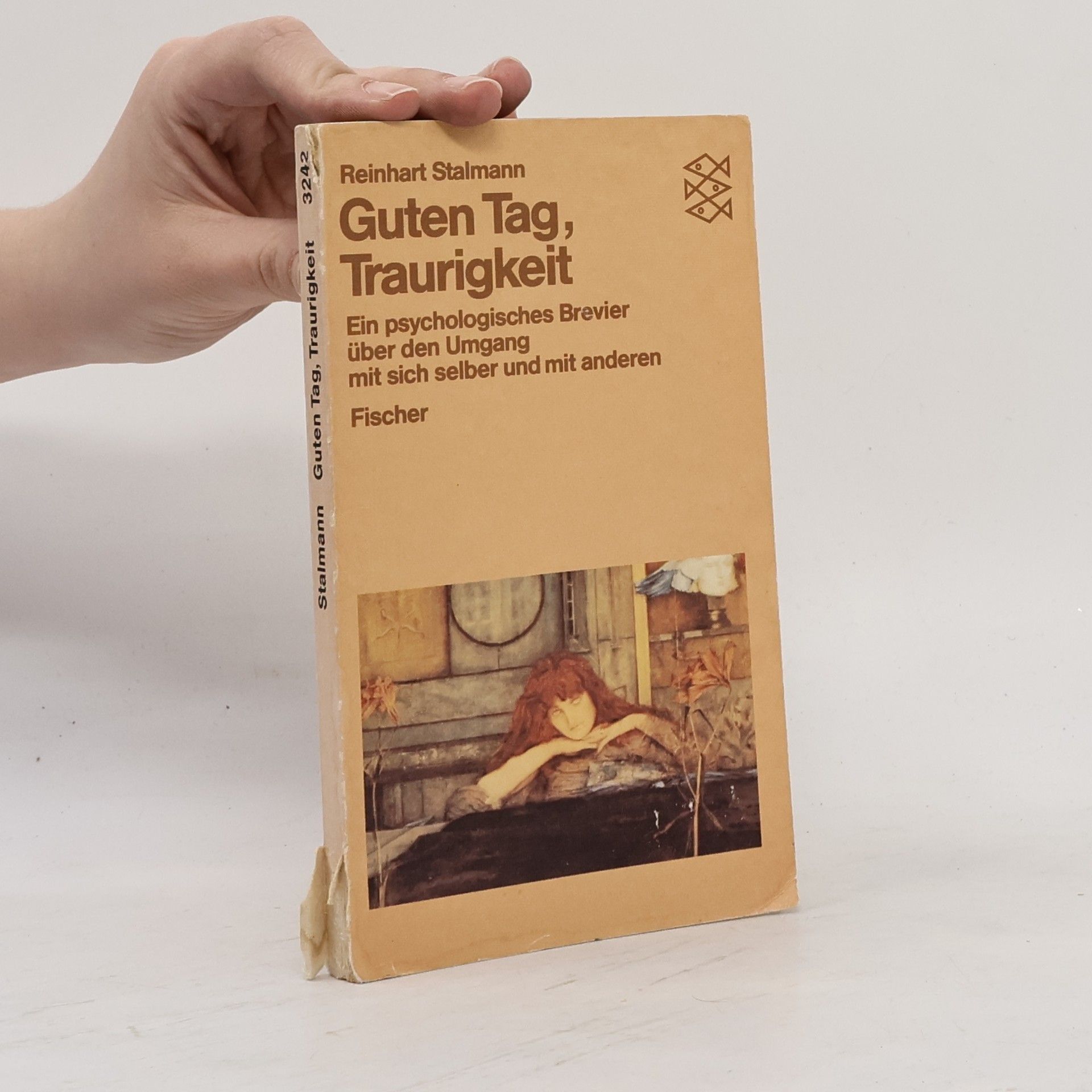 Reinhart Stalmann Guten Tag, Traurigkeit!
