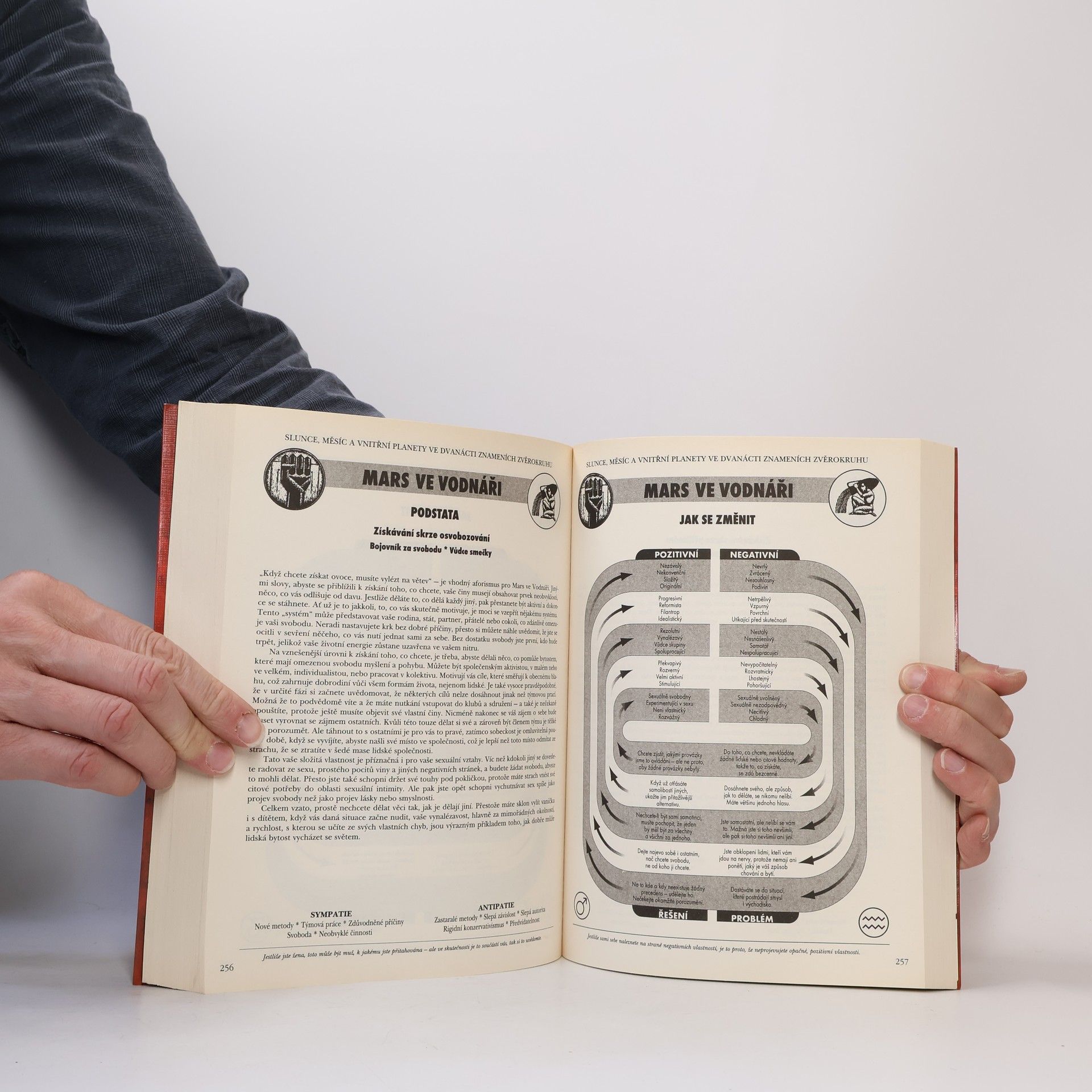 Lyn Birkbeck Astrologie. Praktická příručka.