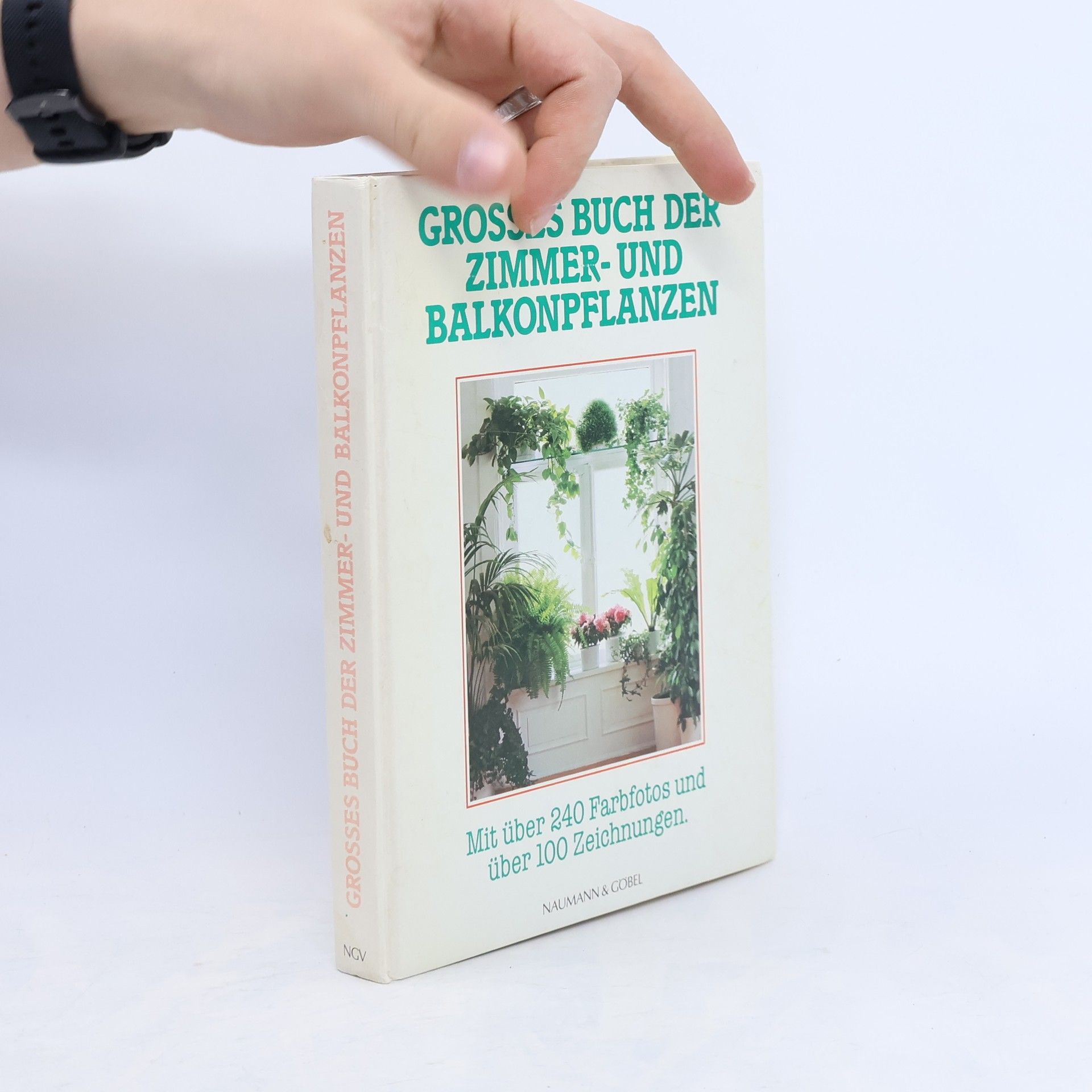 Jürgen Saupe Grosses Buch der Zimmer- und Balkonpflanzen