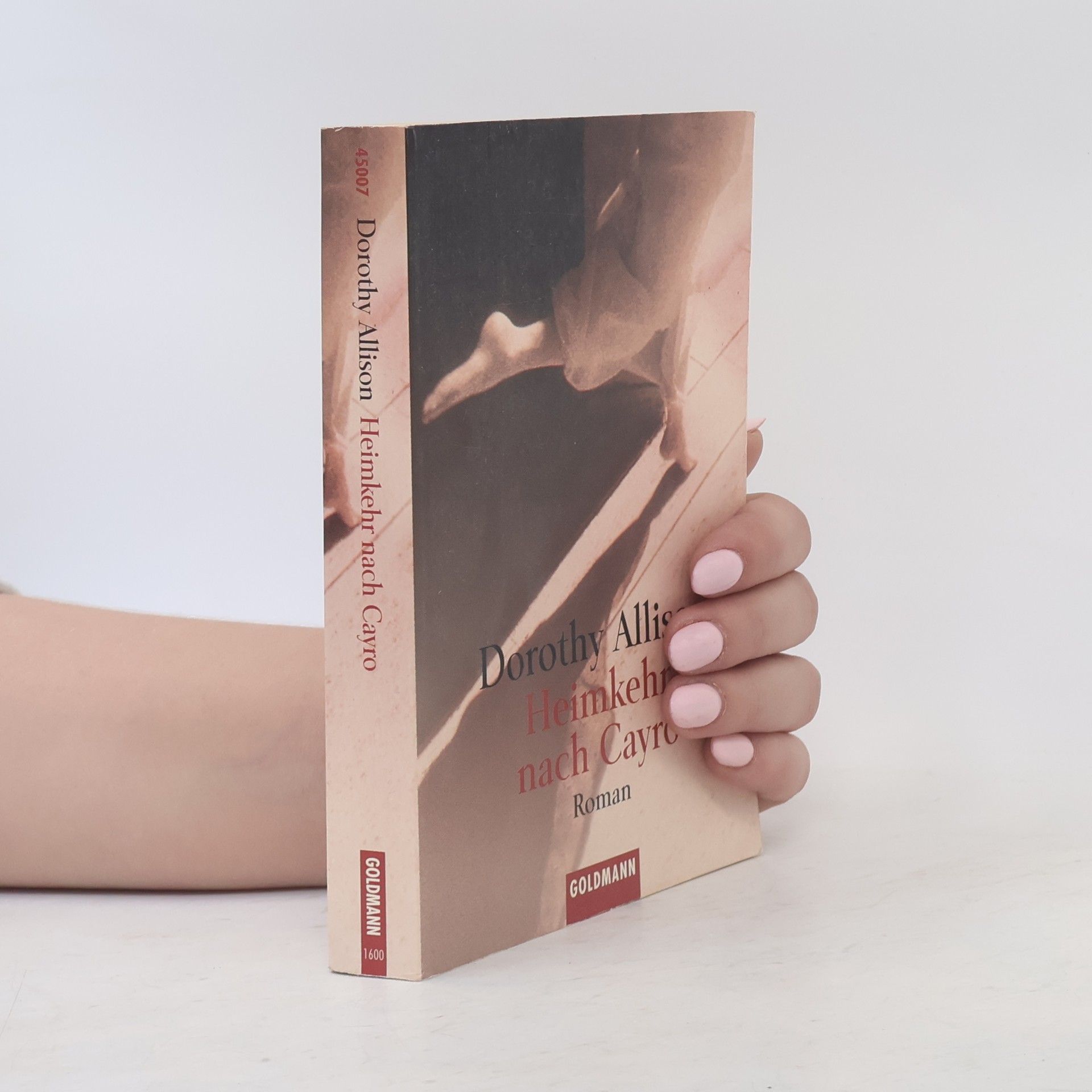 Dorothy Allison Heimkehr nach Cayro