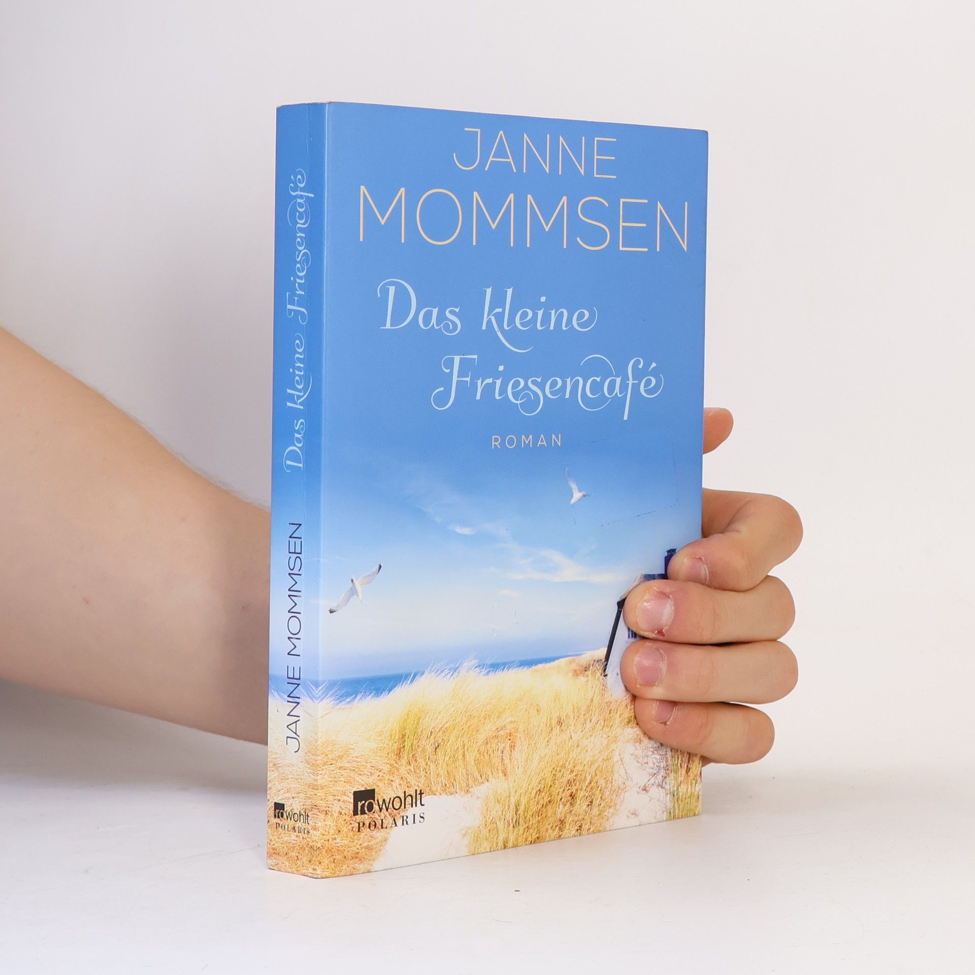 Janne Mommsen Das kleine Friesencafé