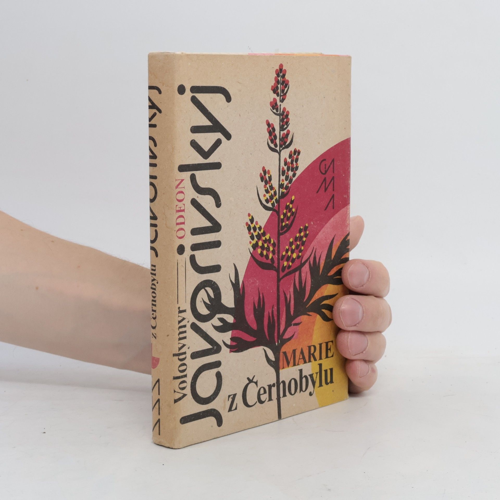 Volodymyr Javorivskyj Marie z Černobylu