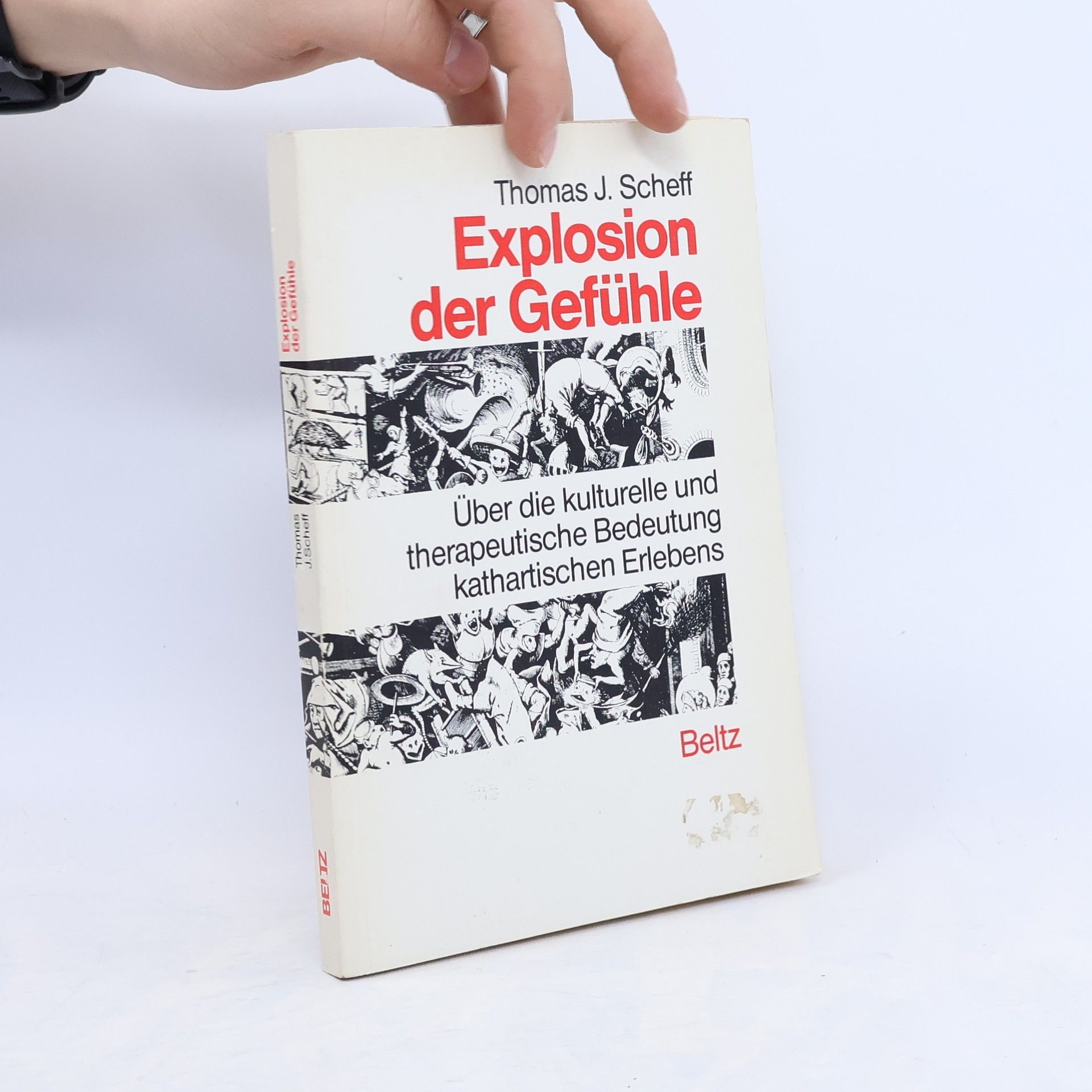 Thomas J. Scheff Explosion der Gefühle