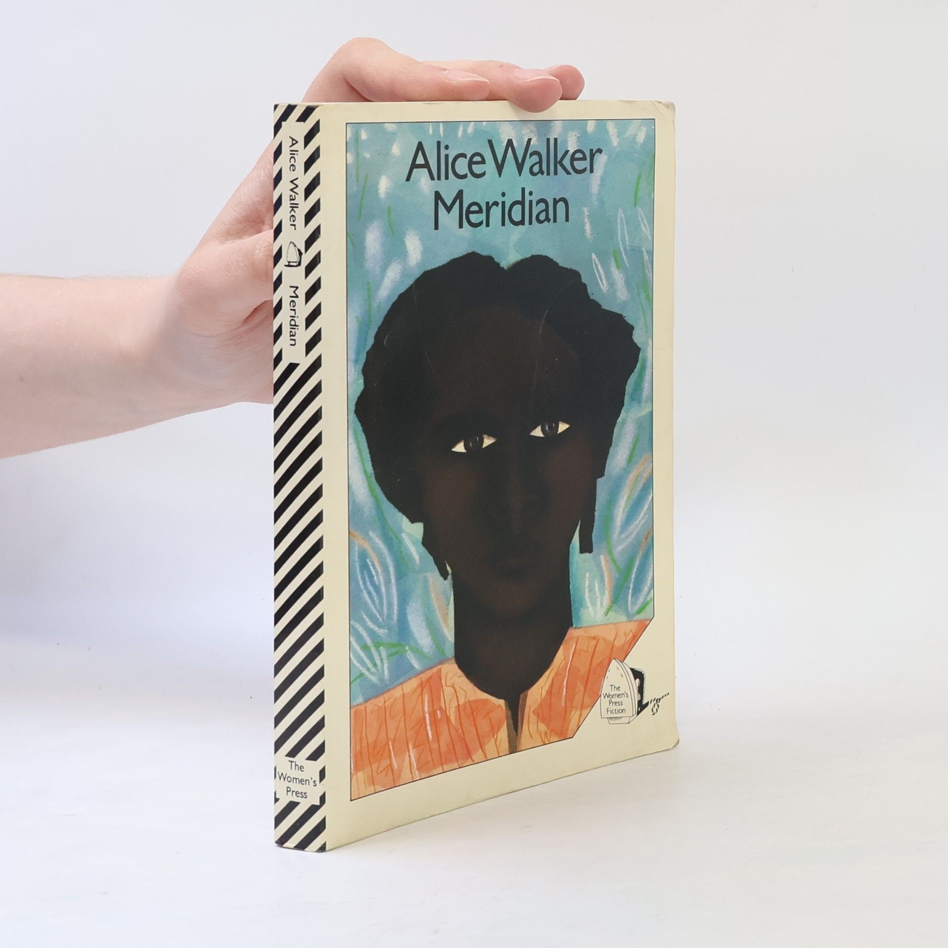 Alice Walker Meridian
