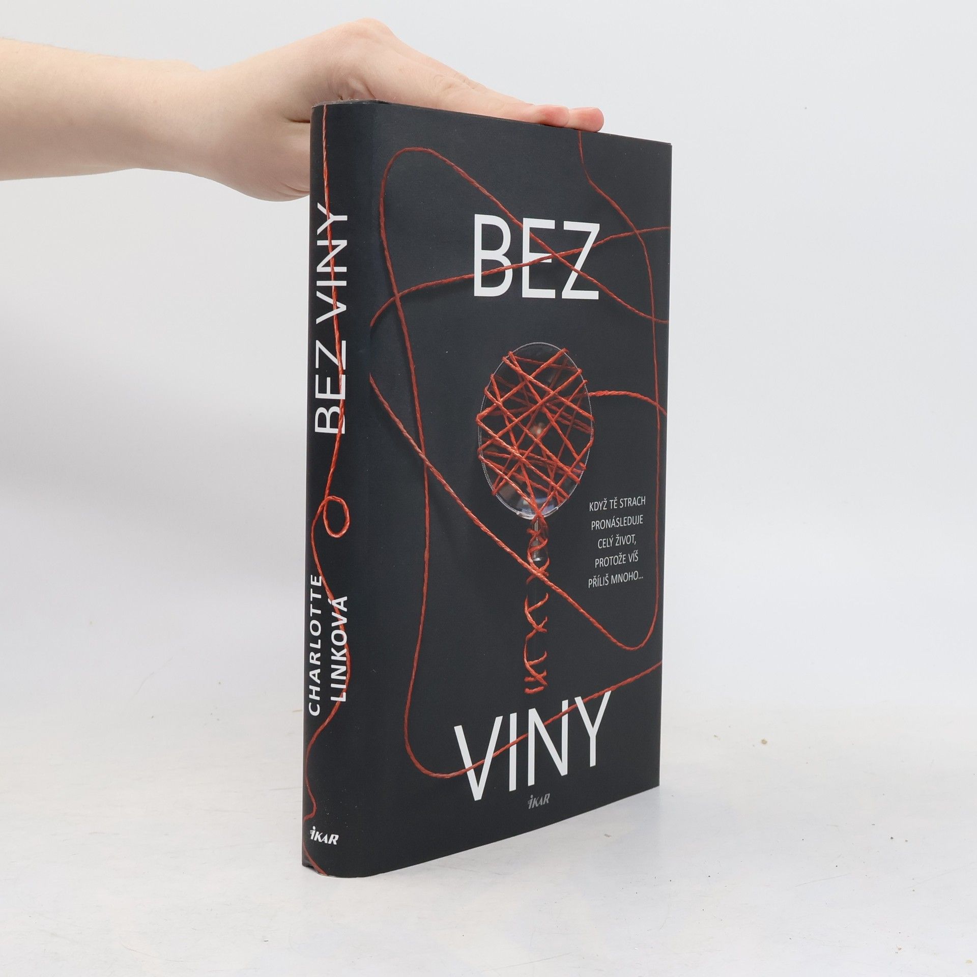 Charlotte Link Bez viny