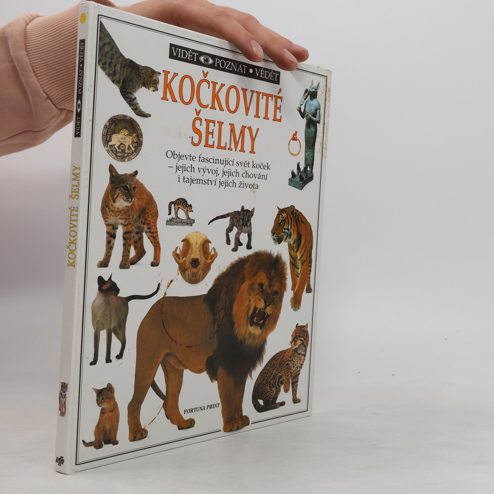 Juliet Clutton-Brock Kočkovité šelmy