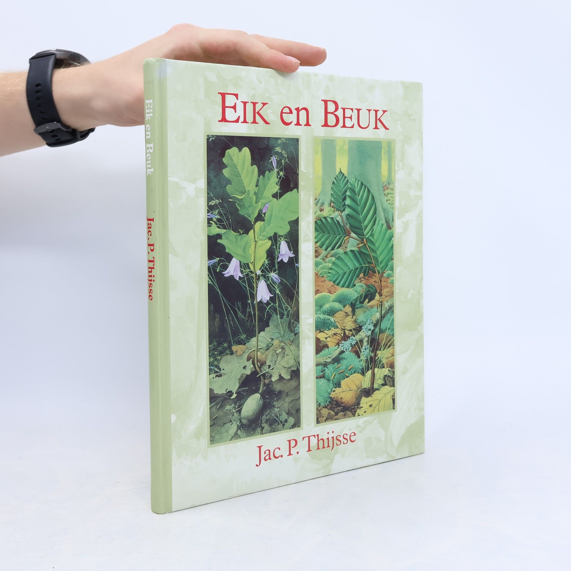 Jac. P. Thijsse Eik en Beuk