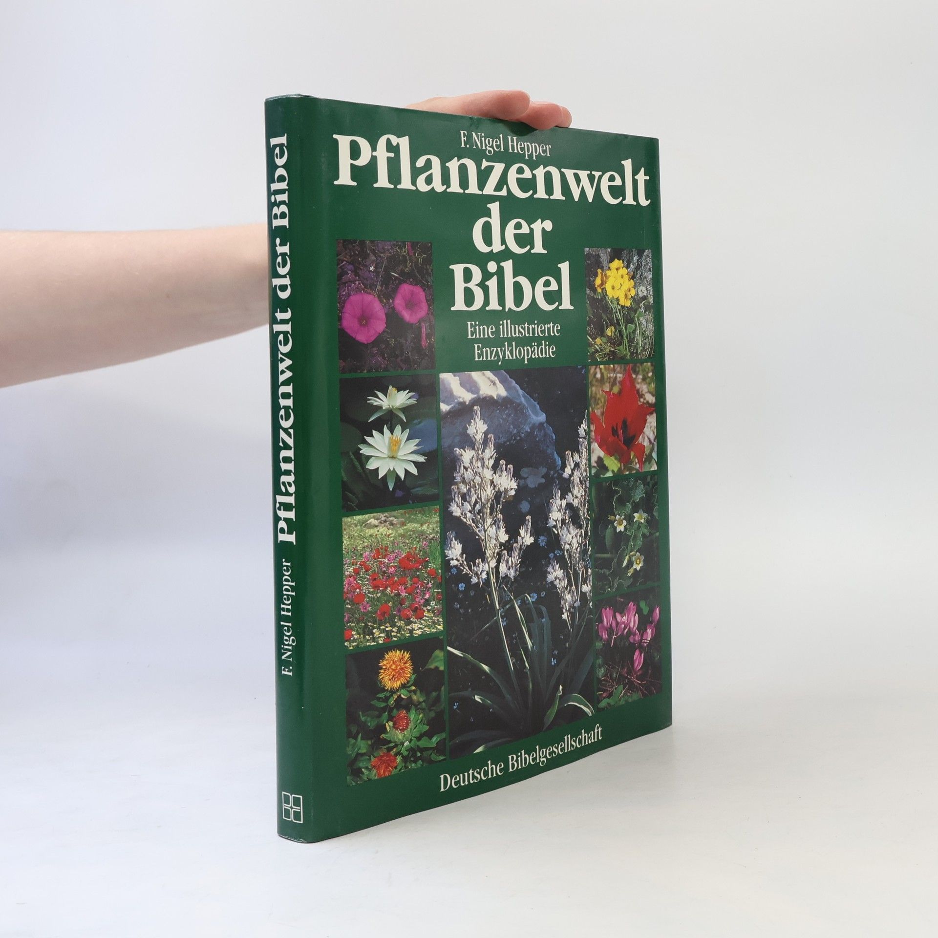 Frank Nigel Hepper Pflanzenwelt der Bibel