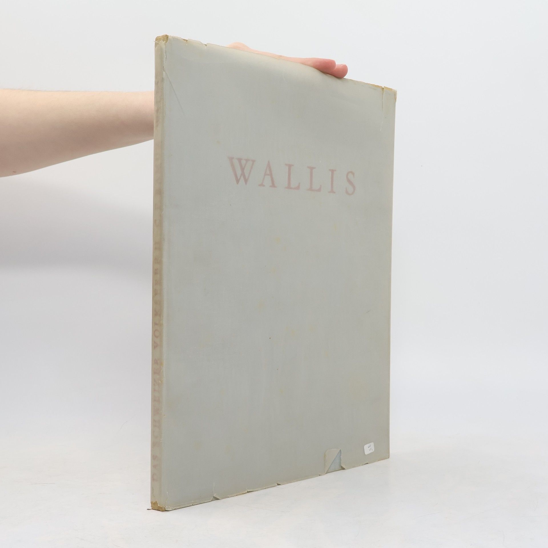 Kolektiv autorů Wallis