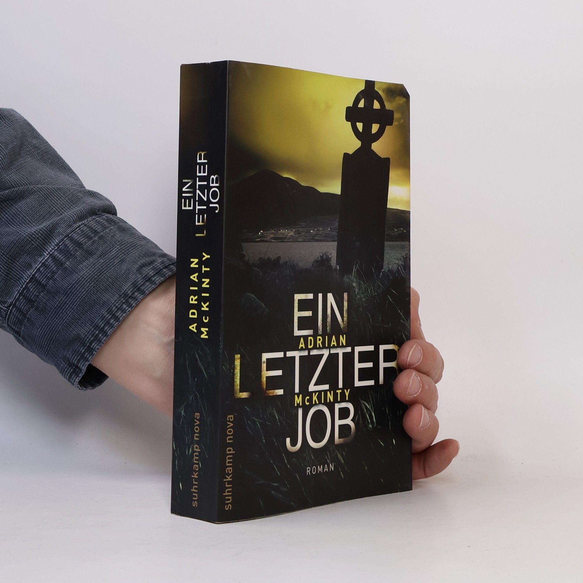 Adrian McKinty Ein letzter Job