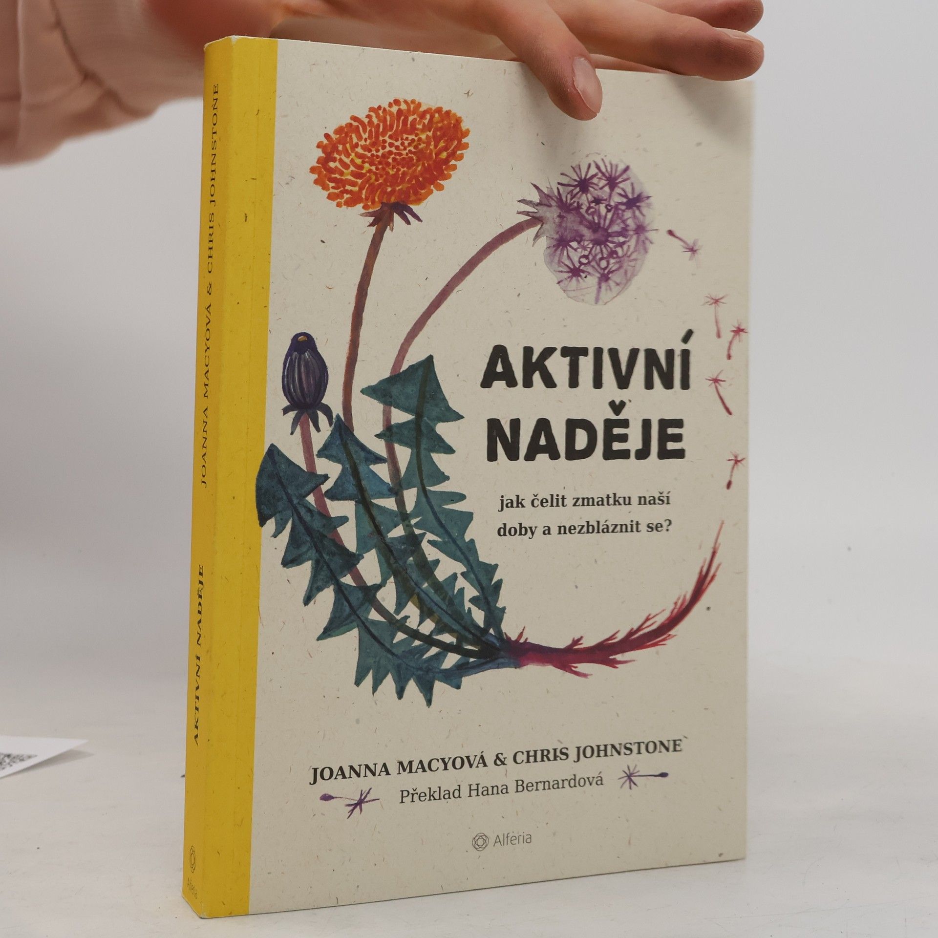 Joanna Macy Aktivní naděje