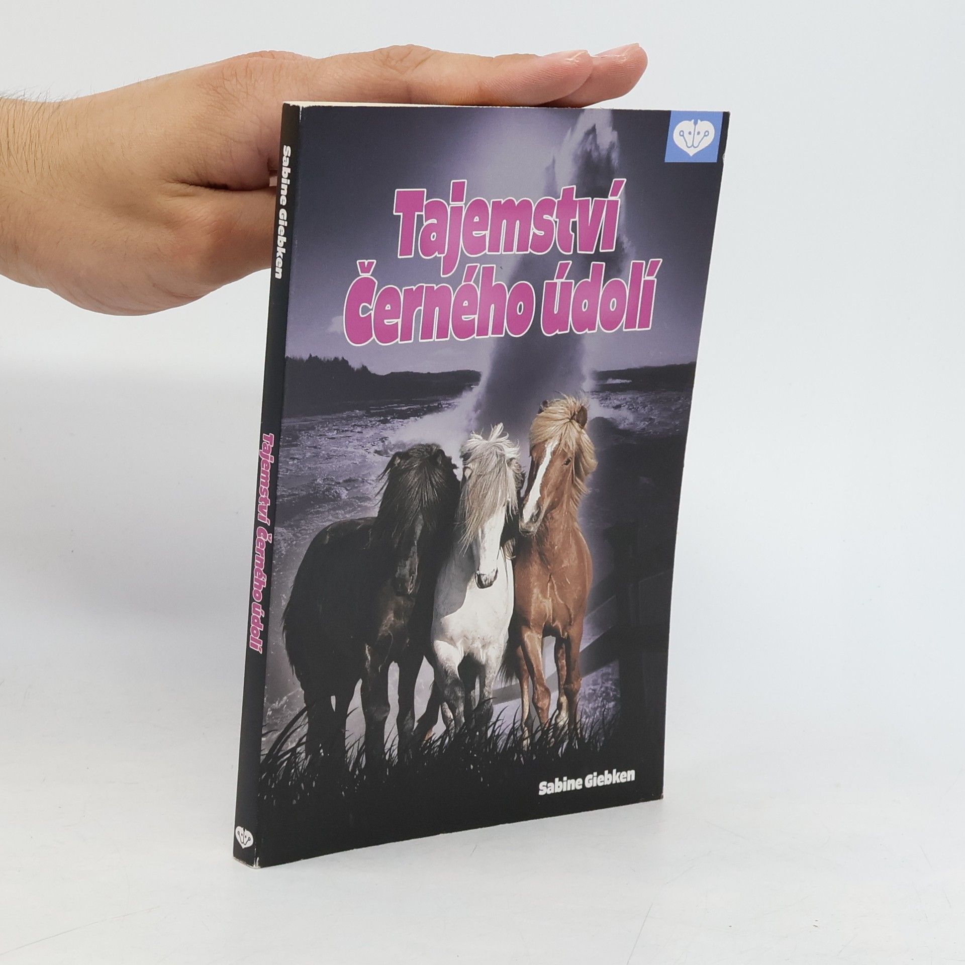 Sabine Giebken Tajemství Černého údolí