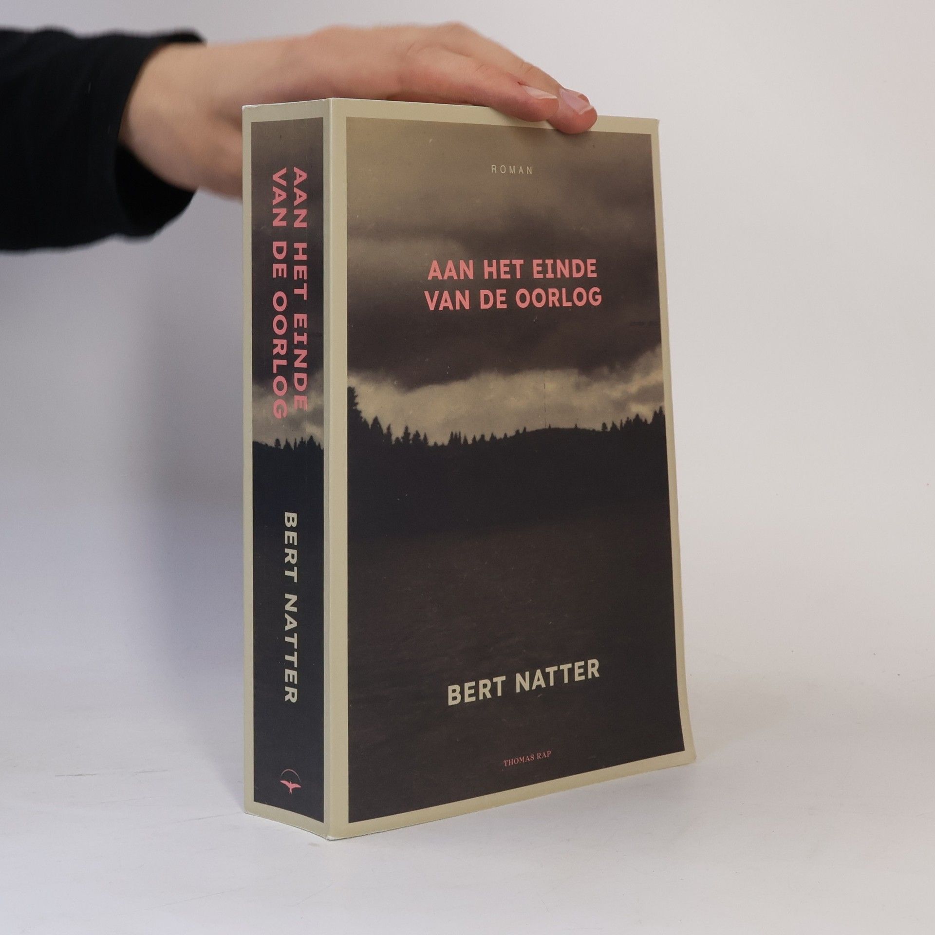 Aan het einde van de oorlog: roman