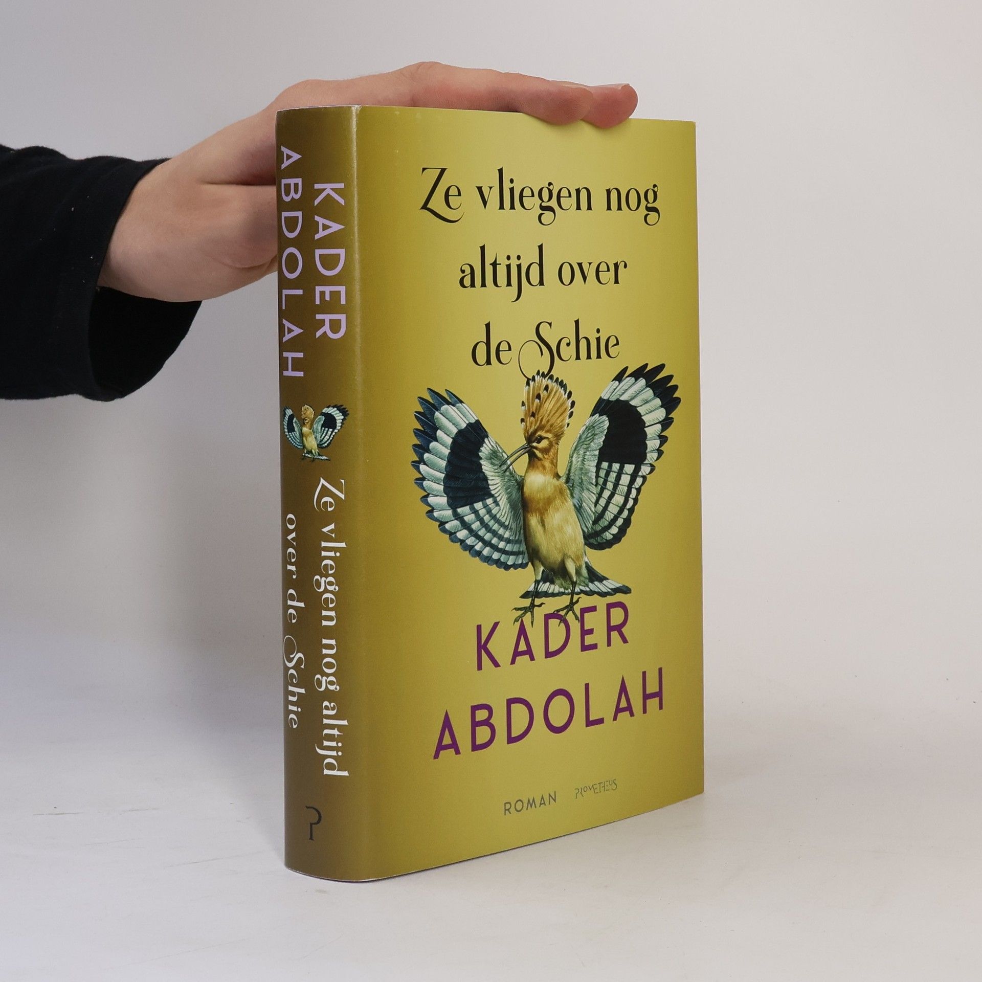 Kader Abdolah Ze vliegen nog altijd over de Schie