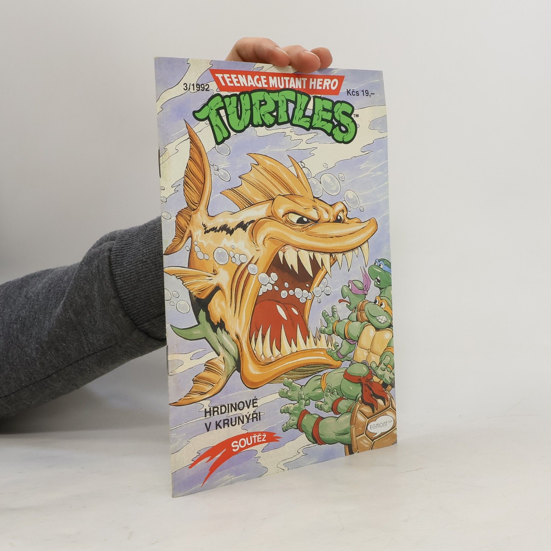 Michael Dooney Teenage Mutant Hero Turtles #03