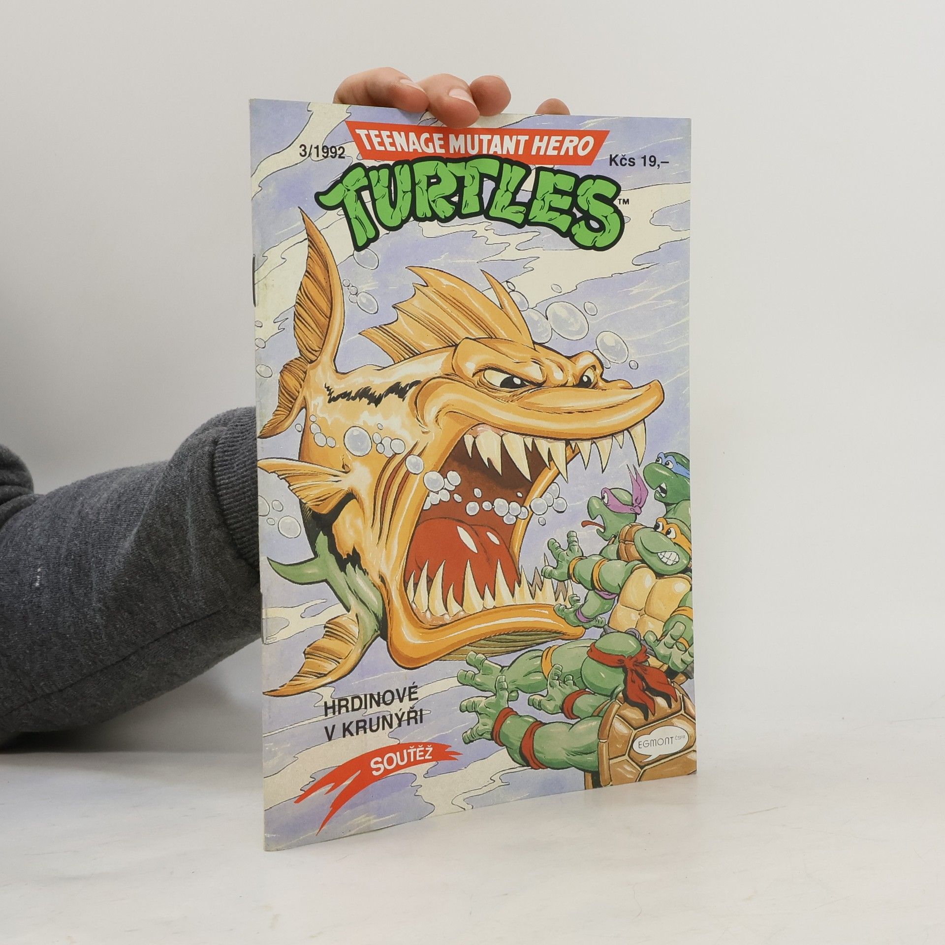 Michael Dooney Teenage Mutant Hero Turtles #03