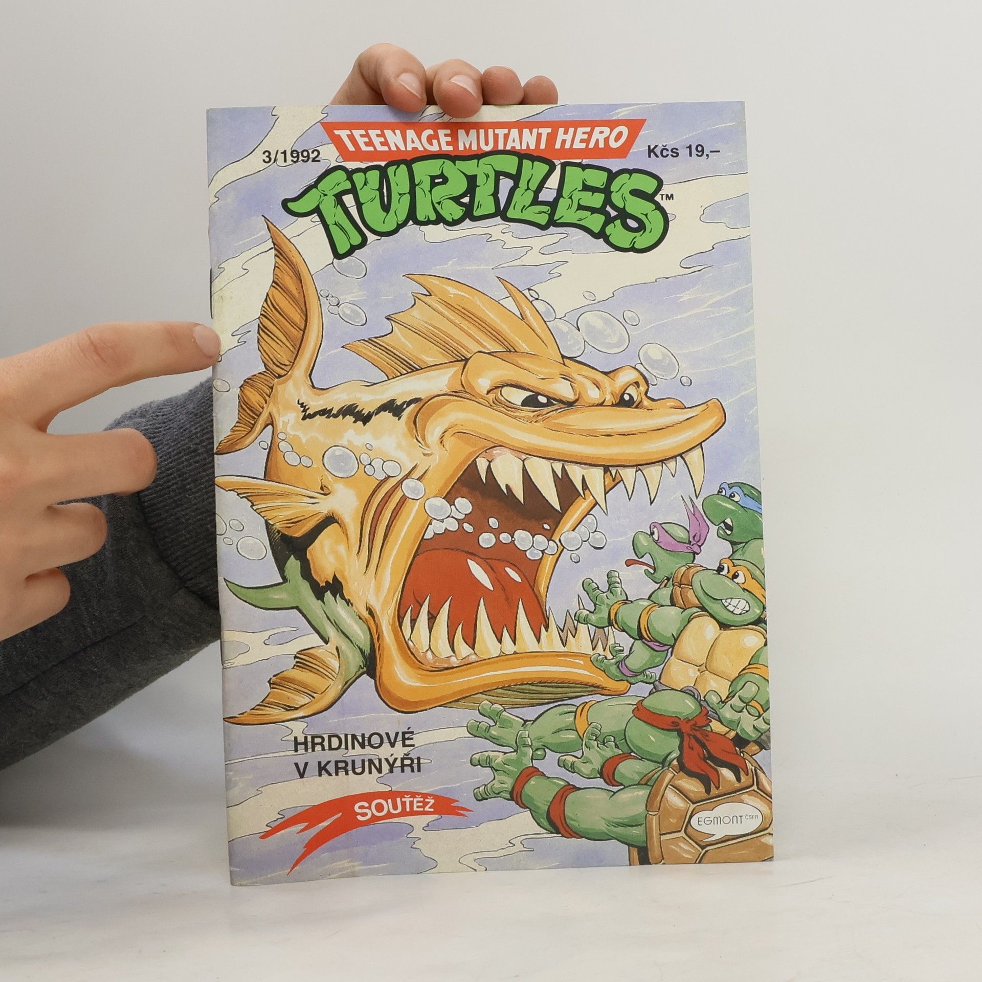 Michael Dooney Teenage Mutant Hero Turtles #03