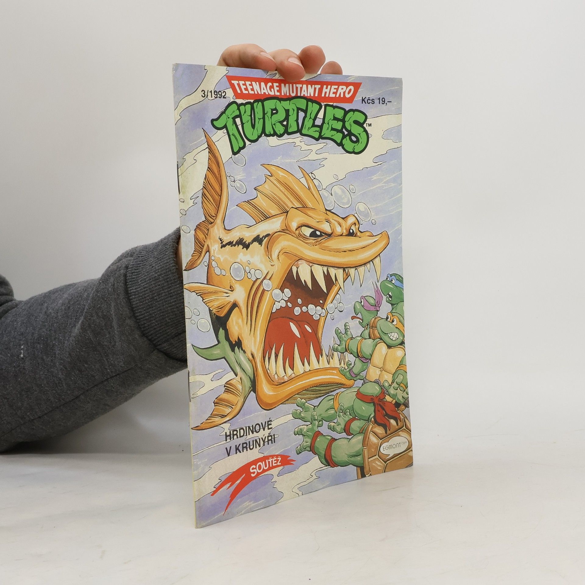 Michael Dooney Teenage Mutant Hero Turtles #03
