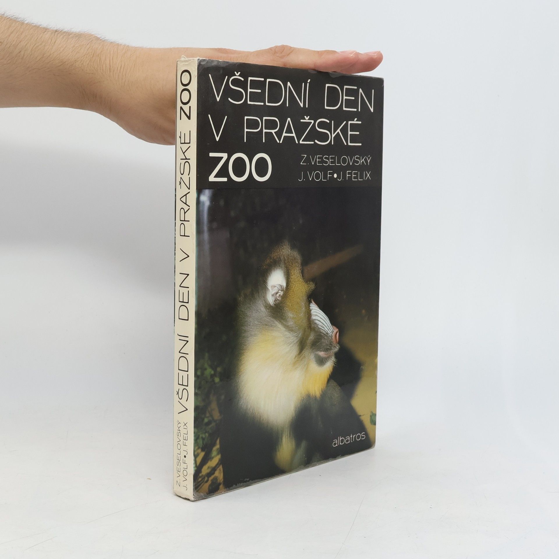 Zdeněk Veselovský Všední den v pražské ZOO