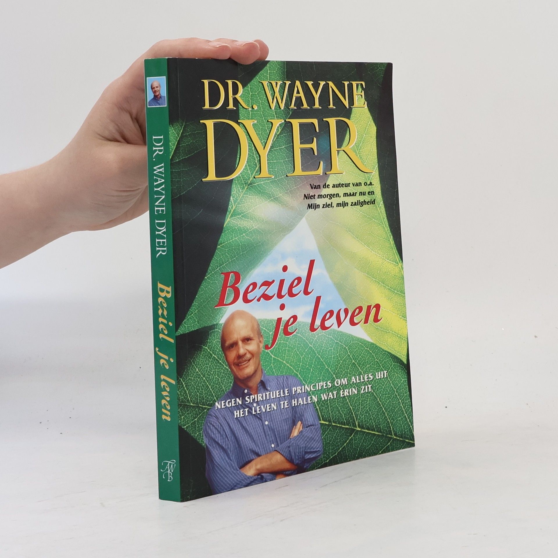 Wayne Dyer Beziel je leven