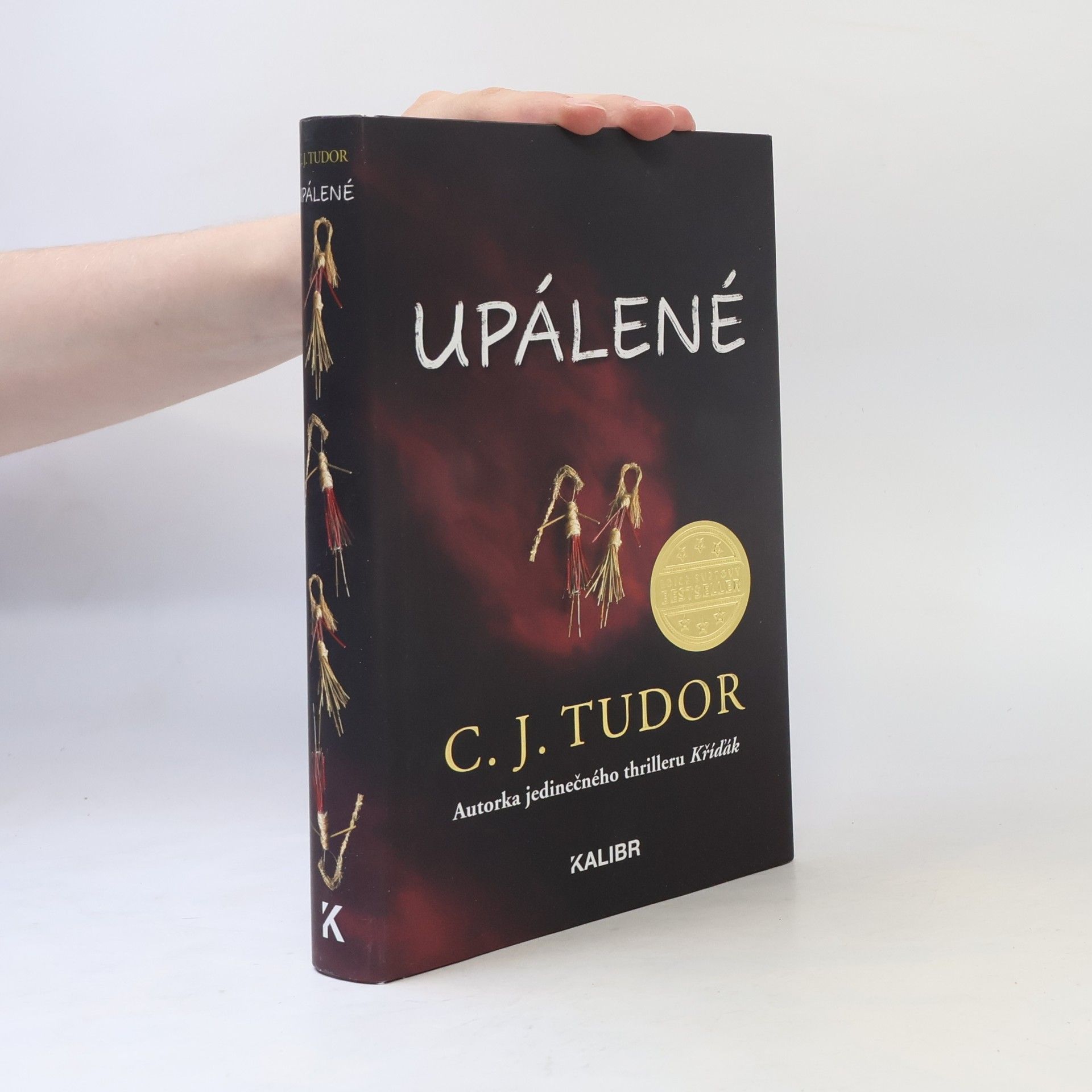 C. J. Tudor Upálené