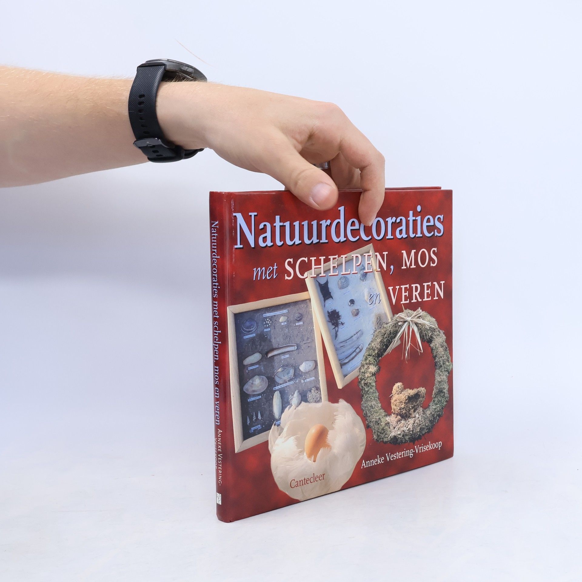 Anneke Vestering-Vrisekoop Natuurdecoraties met schelpen, mos en veren