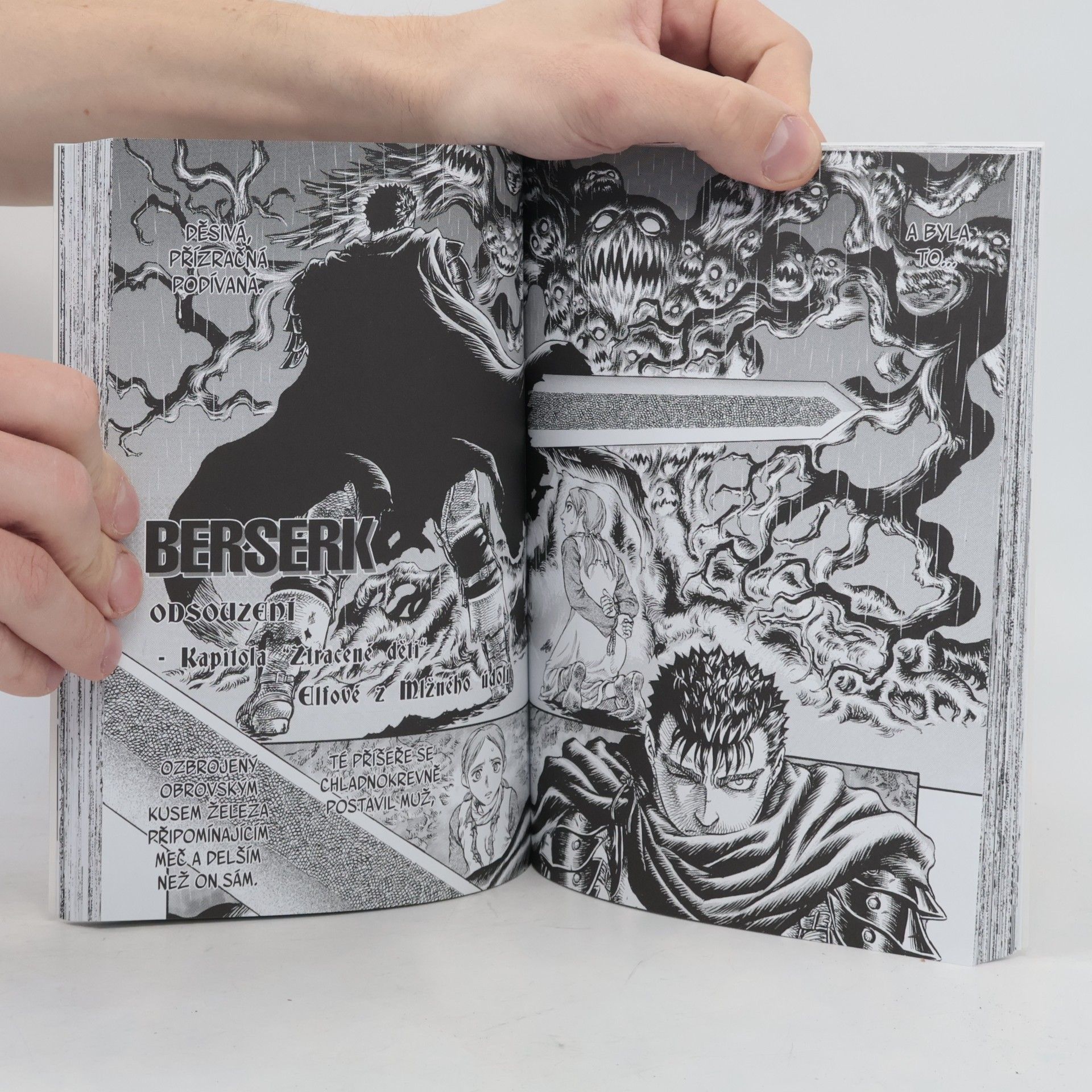 Kentaro Miura Berserk 14