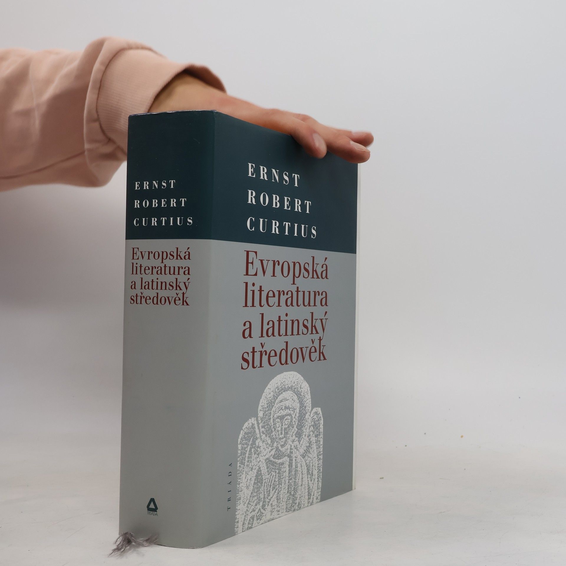 Ernst Robert Curtius Evropská literatura a latinský středověk