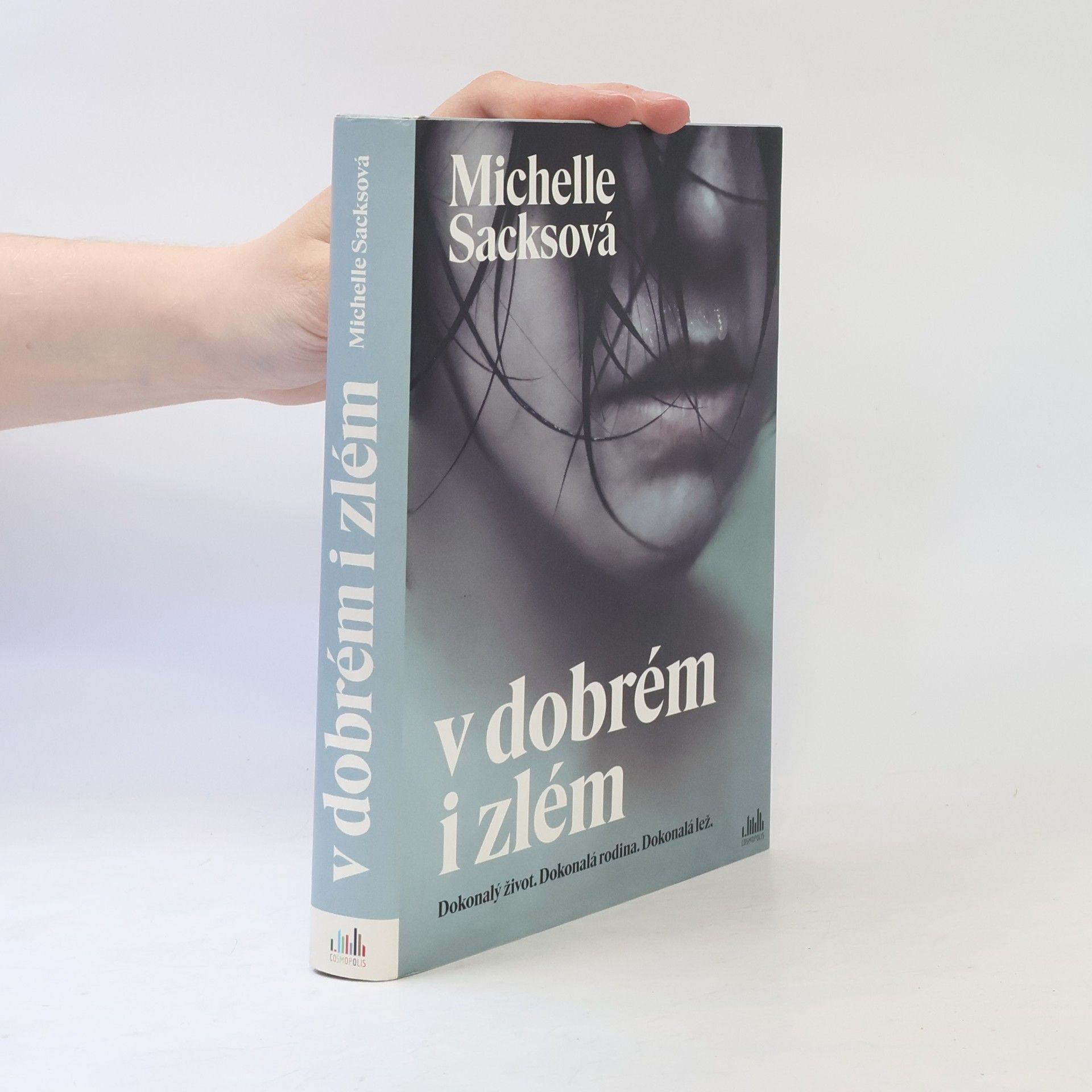Michelle Sacks V dobrém i zlém