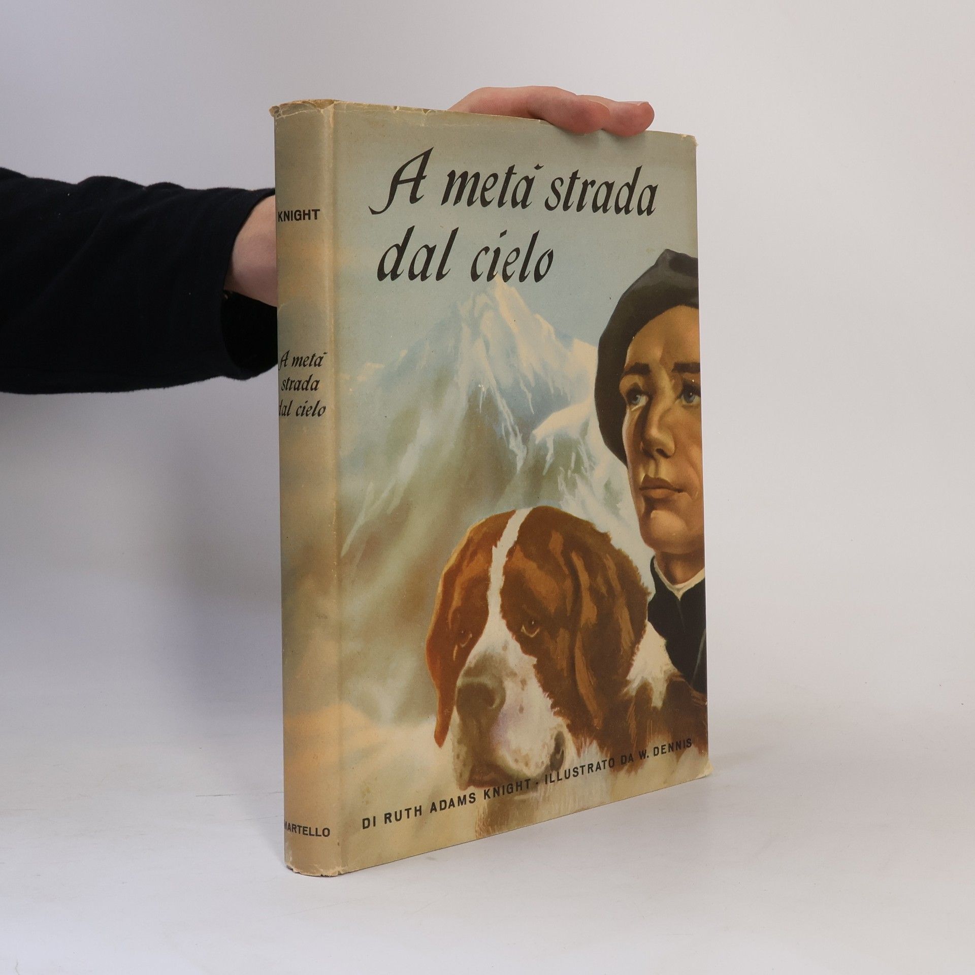 Autorenkollektiv A metá strada dal cielo
