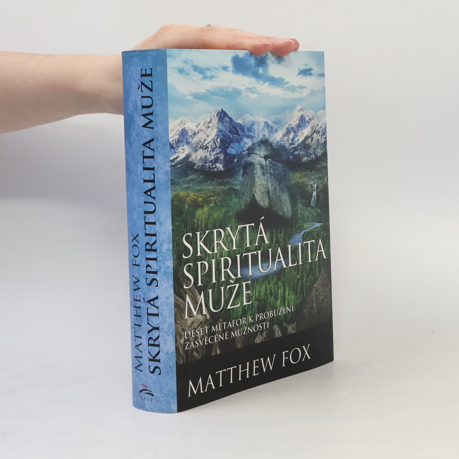 Matthew Fox Skrytá spiritualita muže