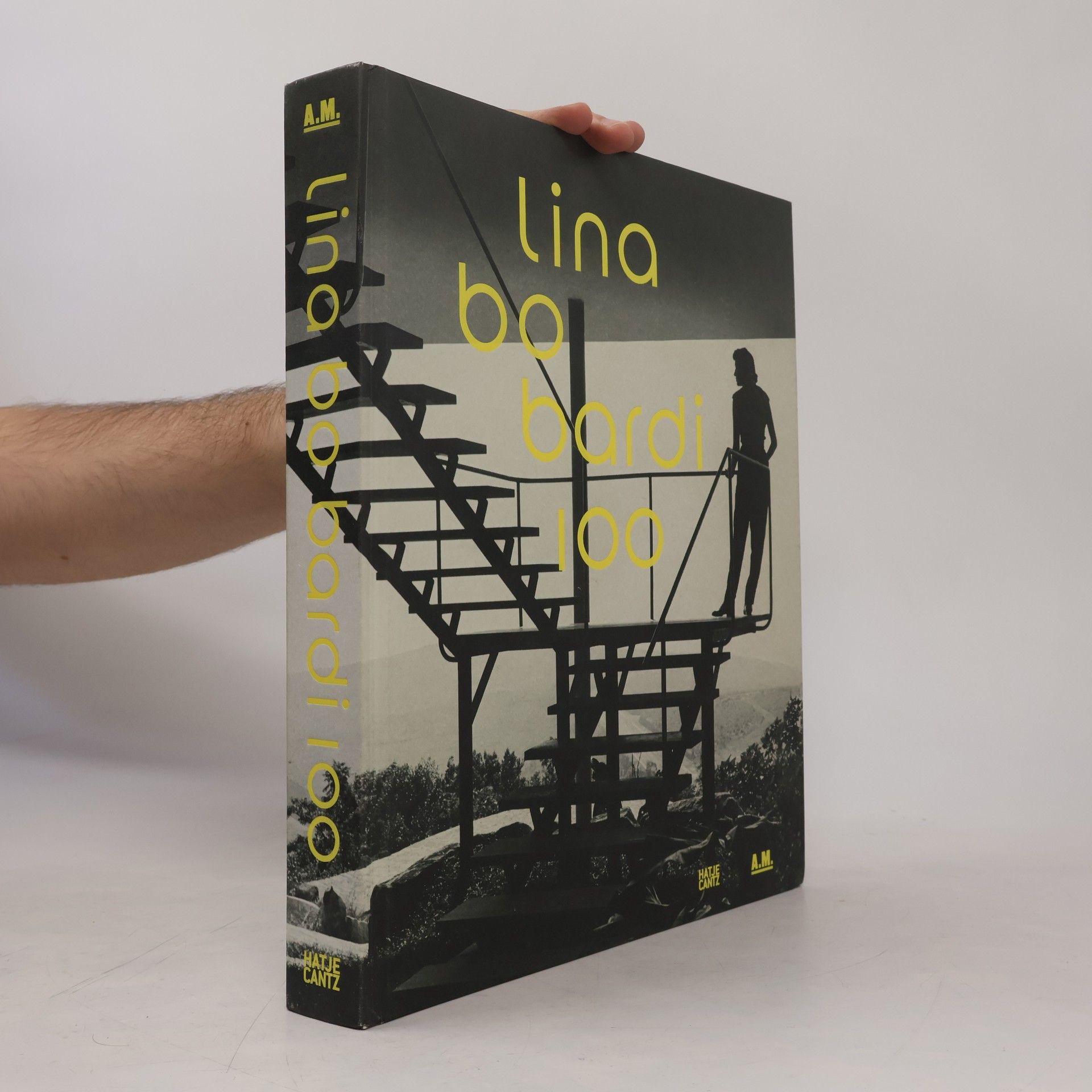 Lina Bo Bardi 100