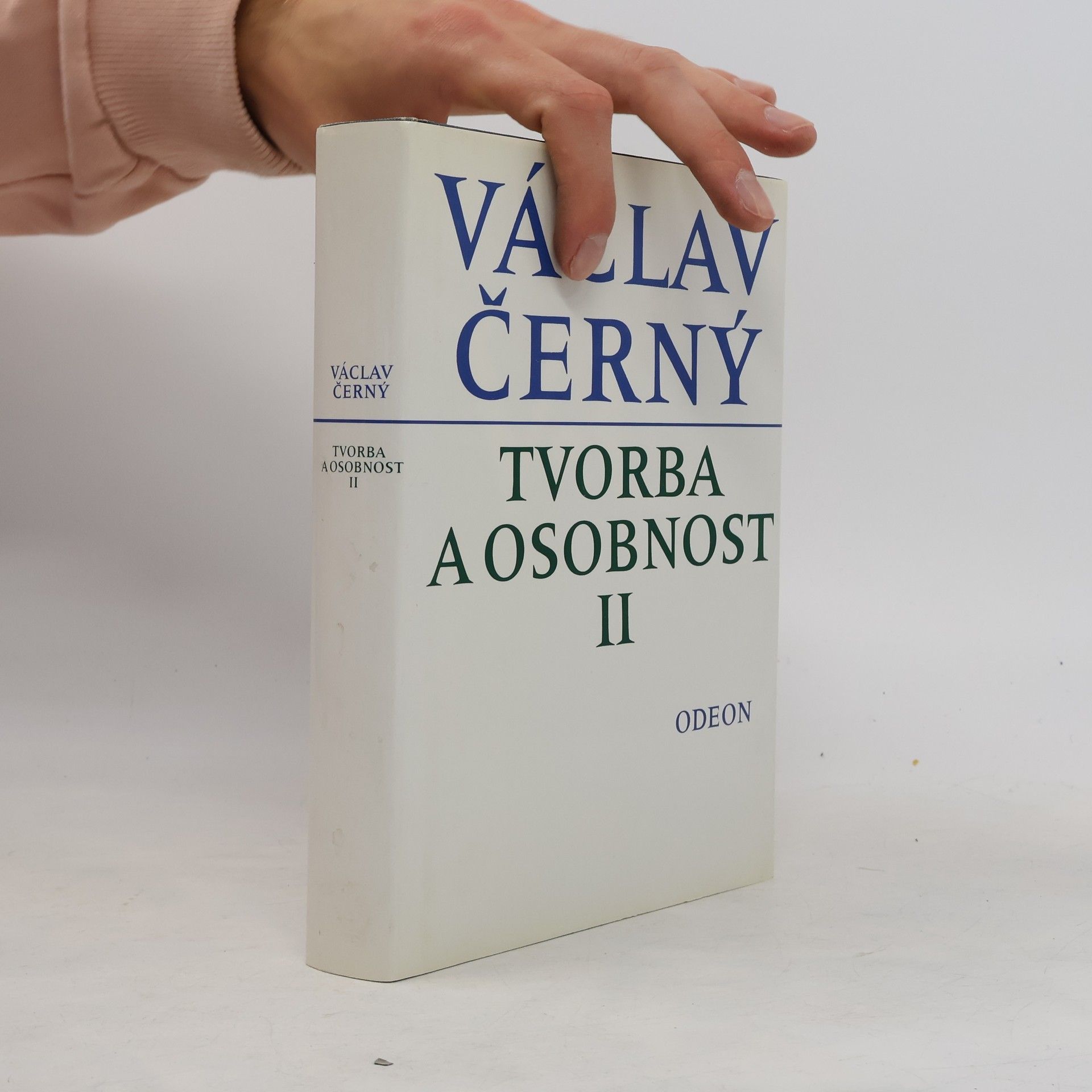 Tvorba a osobnost II